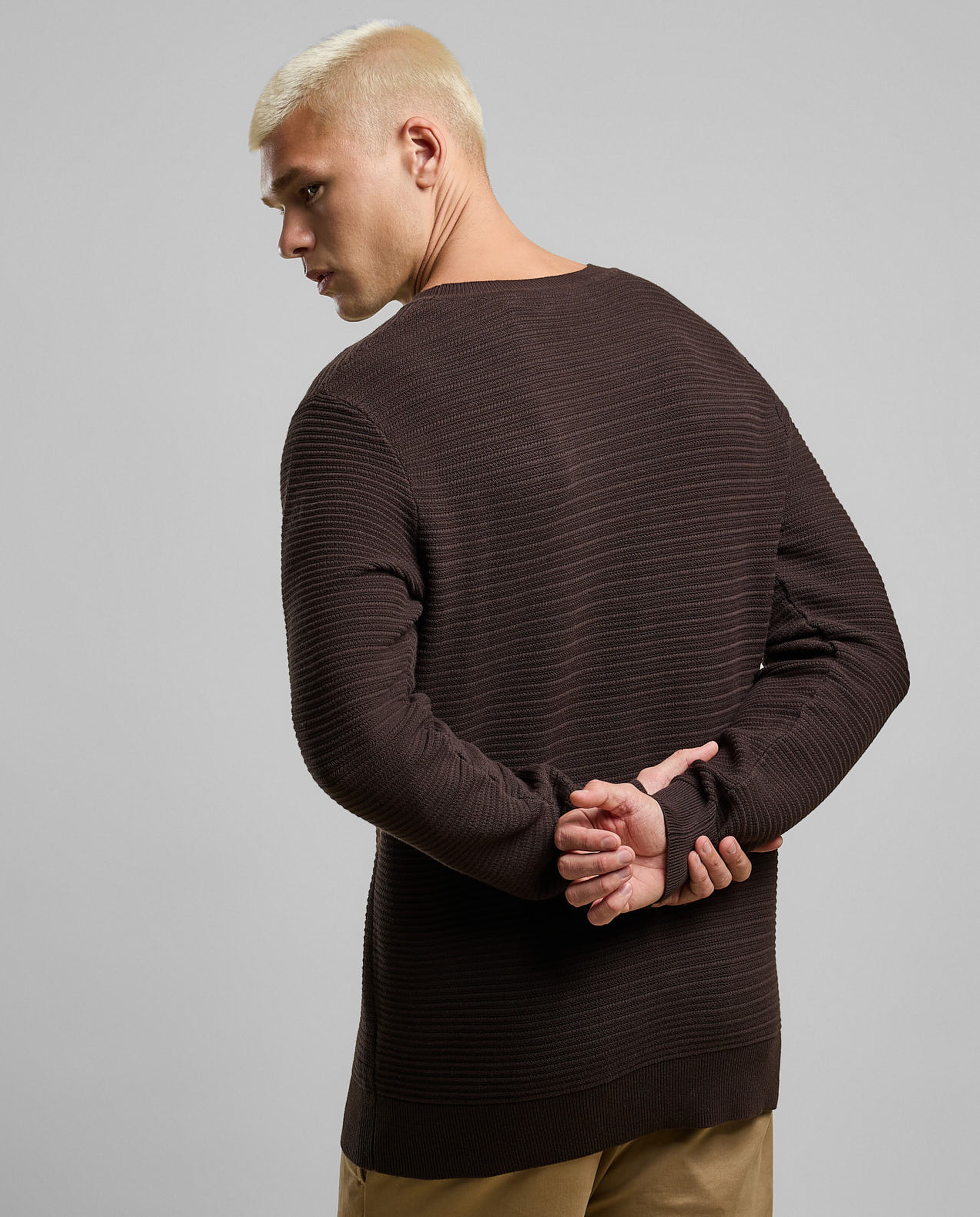 Textured Sweater with Crew Neck and Long Sleeves