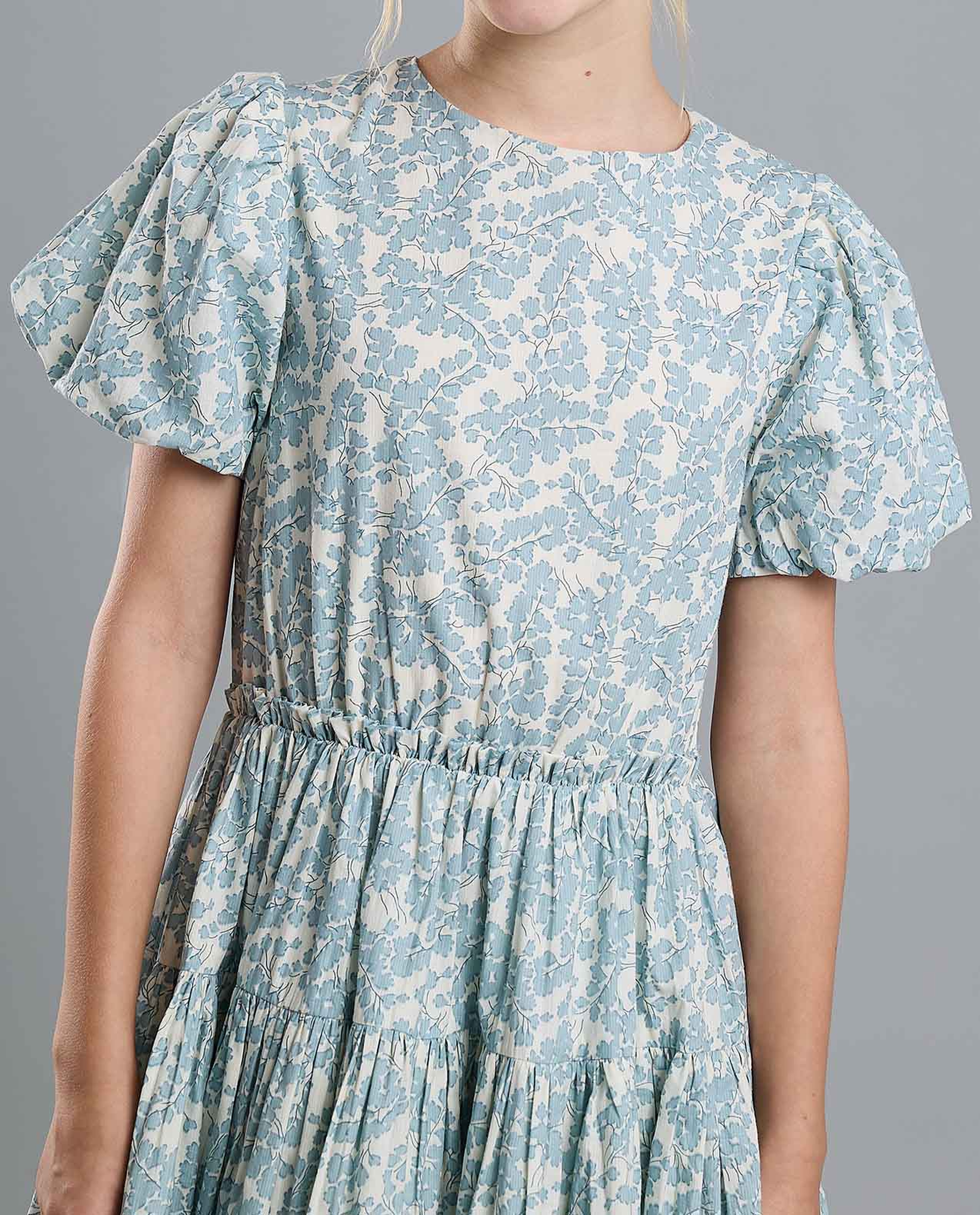 Printed Fit and Flare Dress with Puff Sleeves