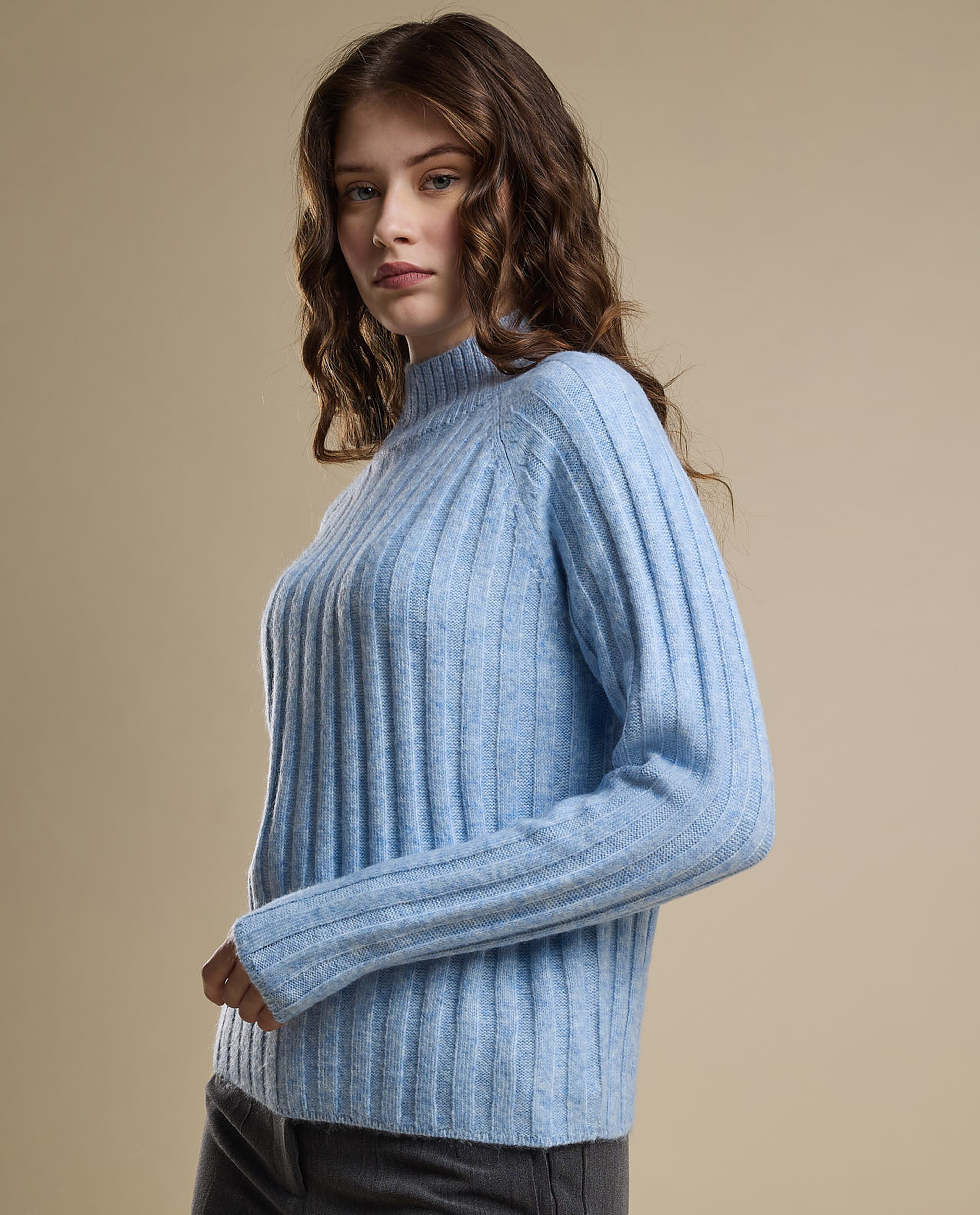 Ribbed Sweater with High Neck and Long Sleeves