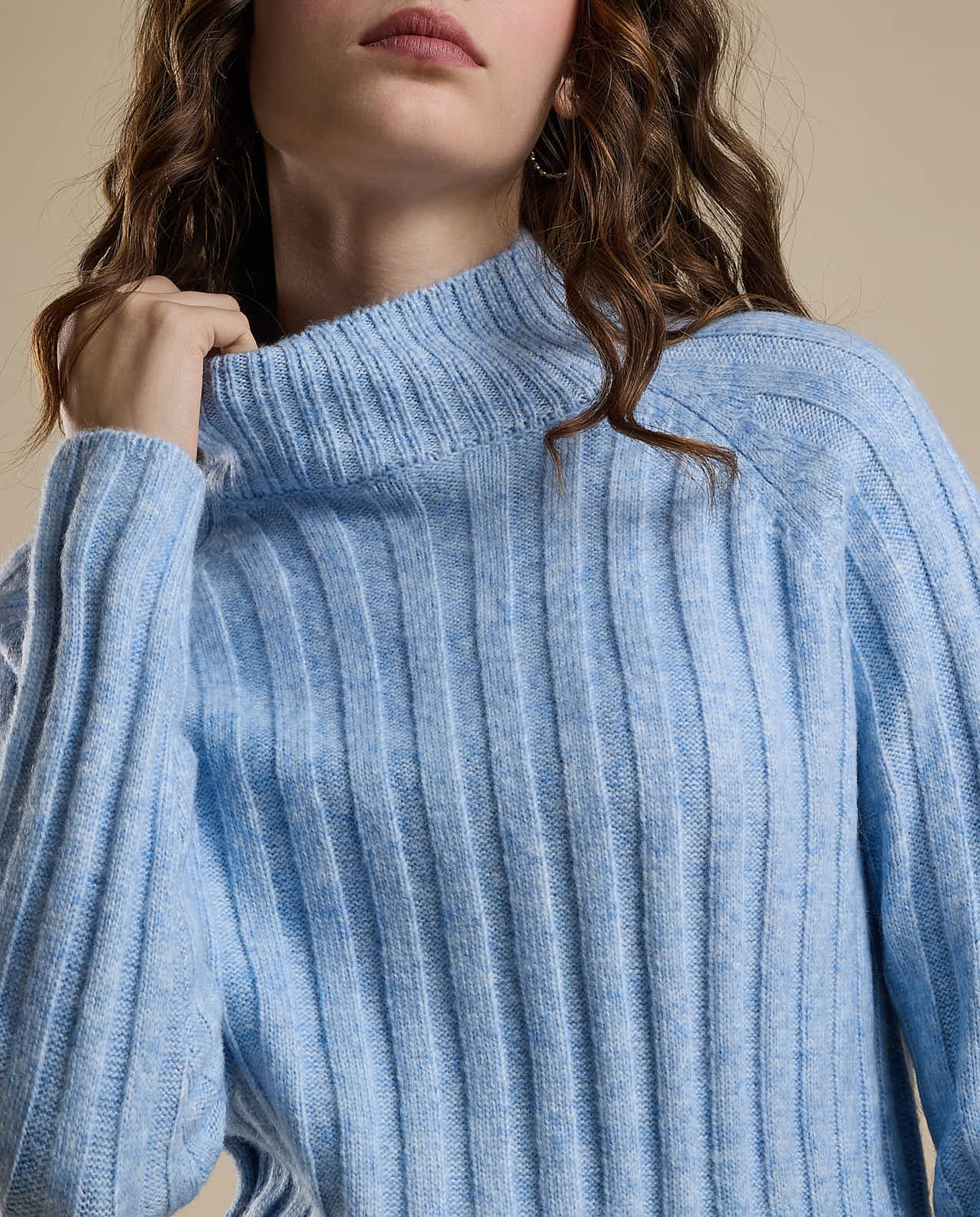 Ribbed Sweater with High Neck and Long Sleeves