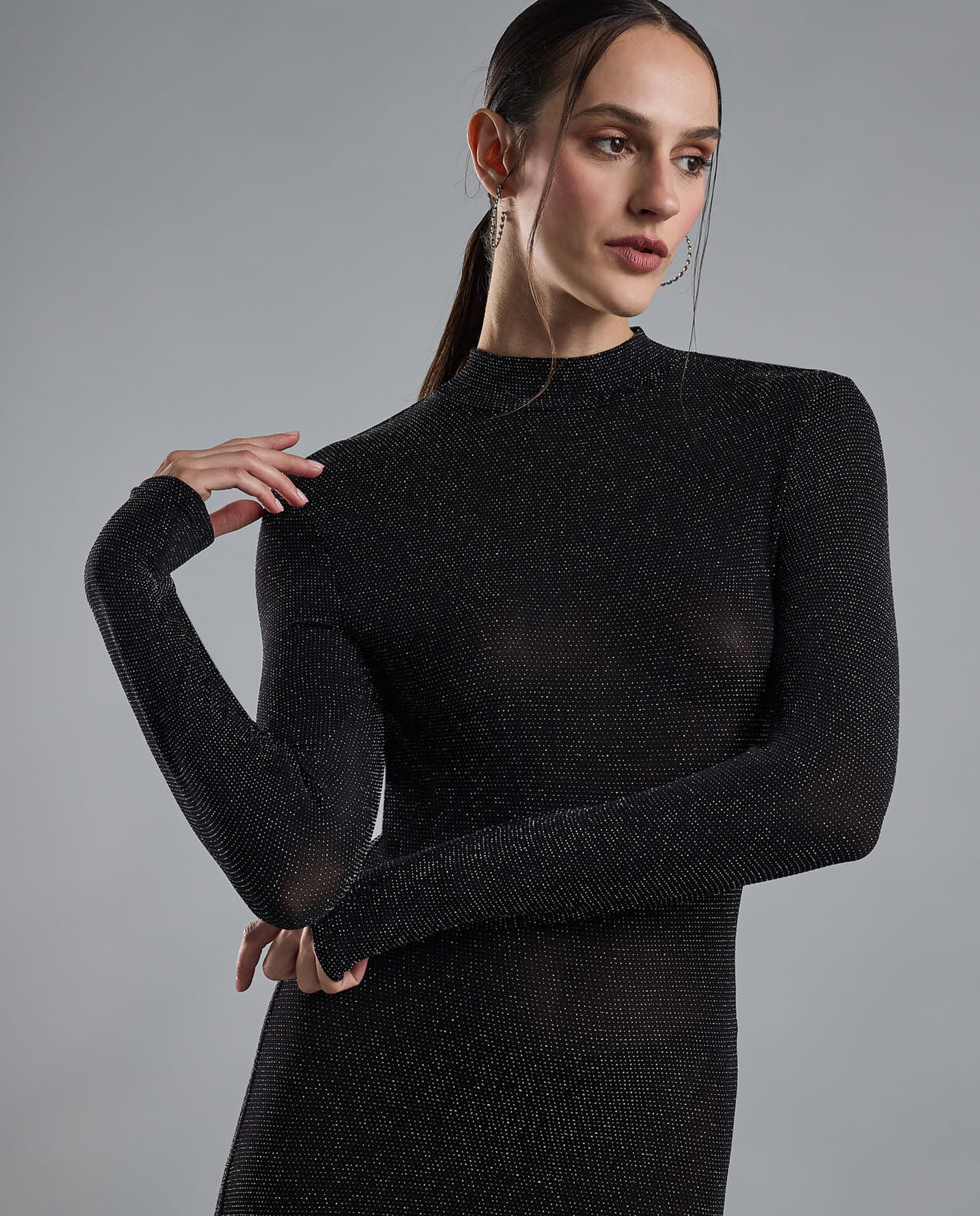 Solid Bodycon Dress with High Neck and Long Sleeves