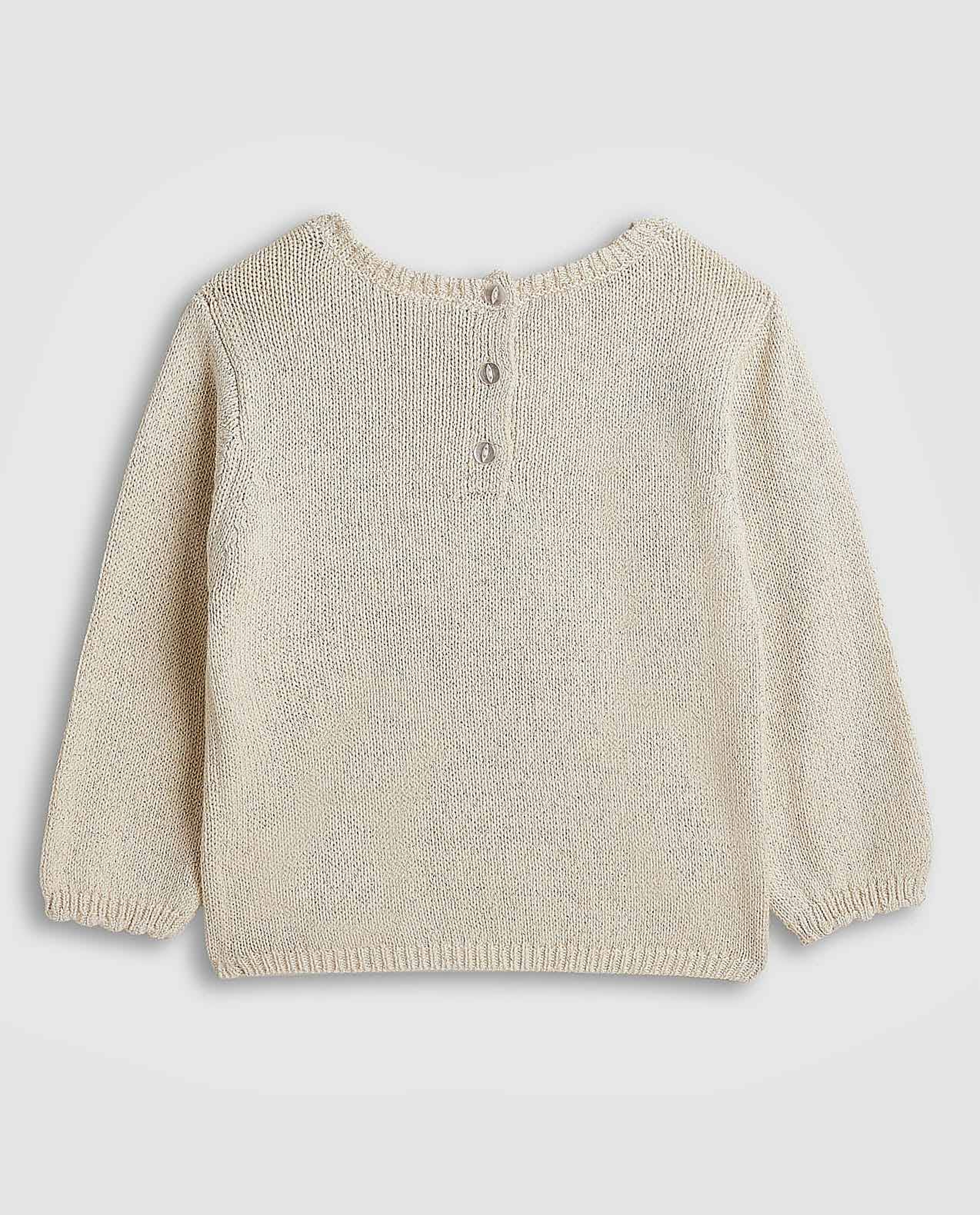 Appliqued Sweater with Crew Neck and Long Sleeves