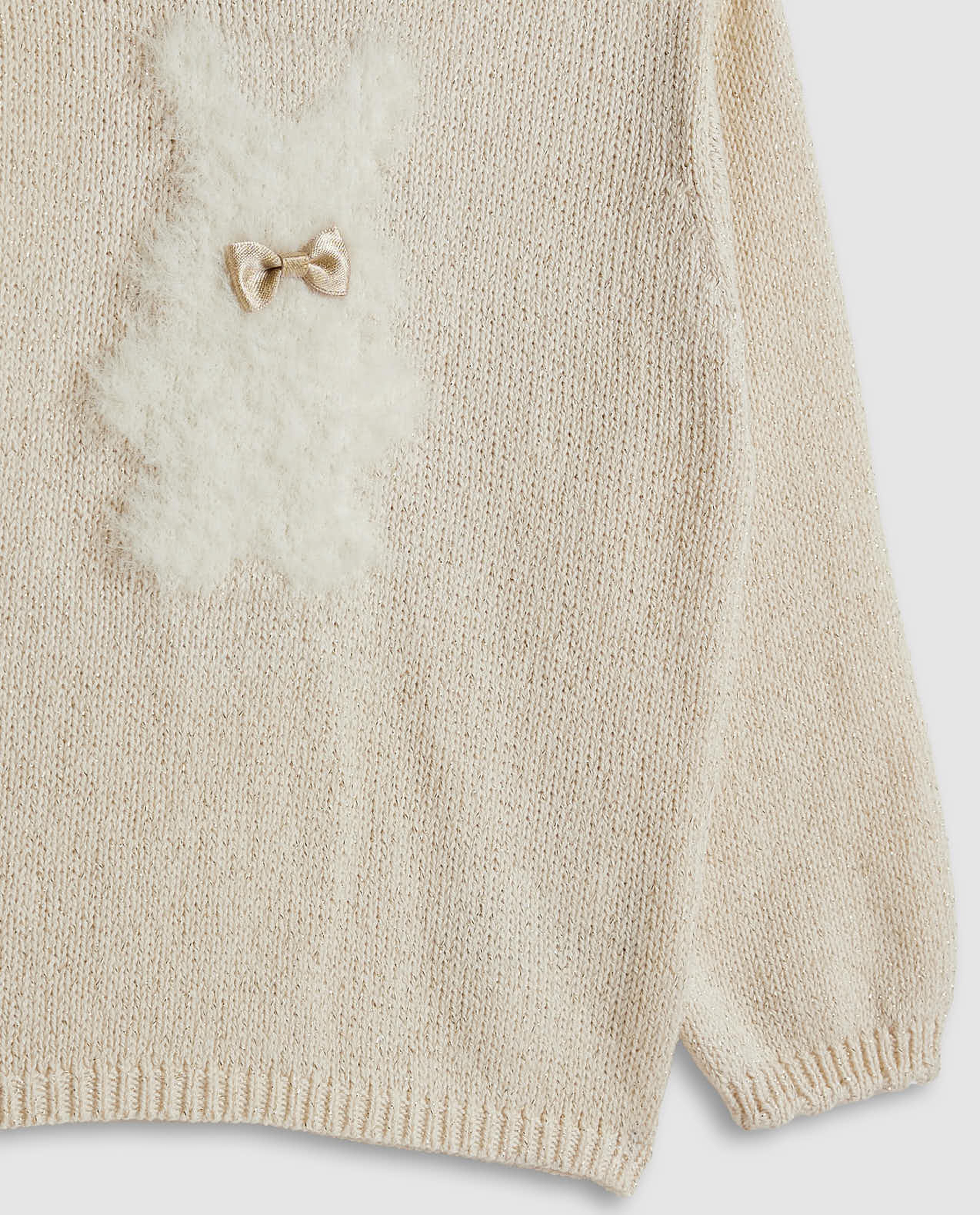 Appliqued Sweater with Crew Neck and Long Sleeves