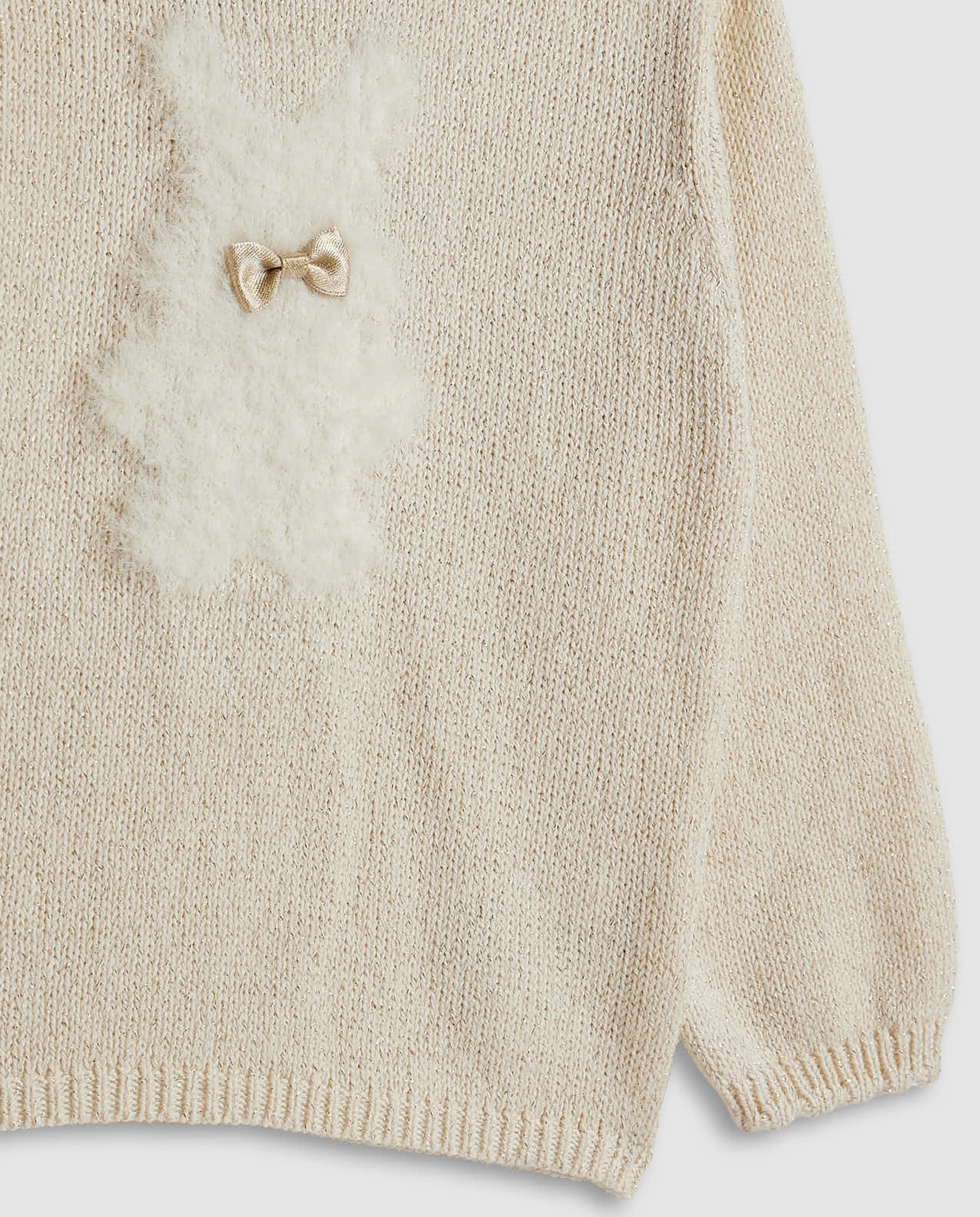 Appliqued Sweater with Crew Neck and Long Sleeves