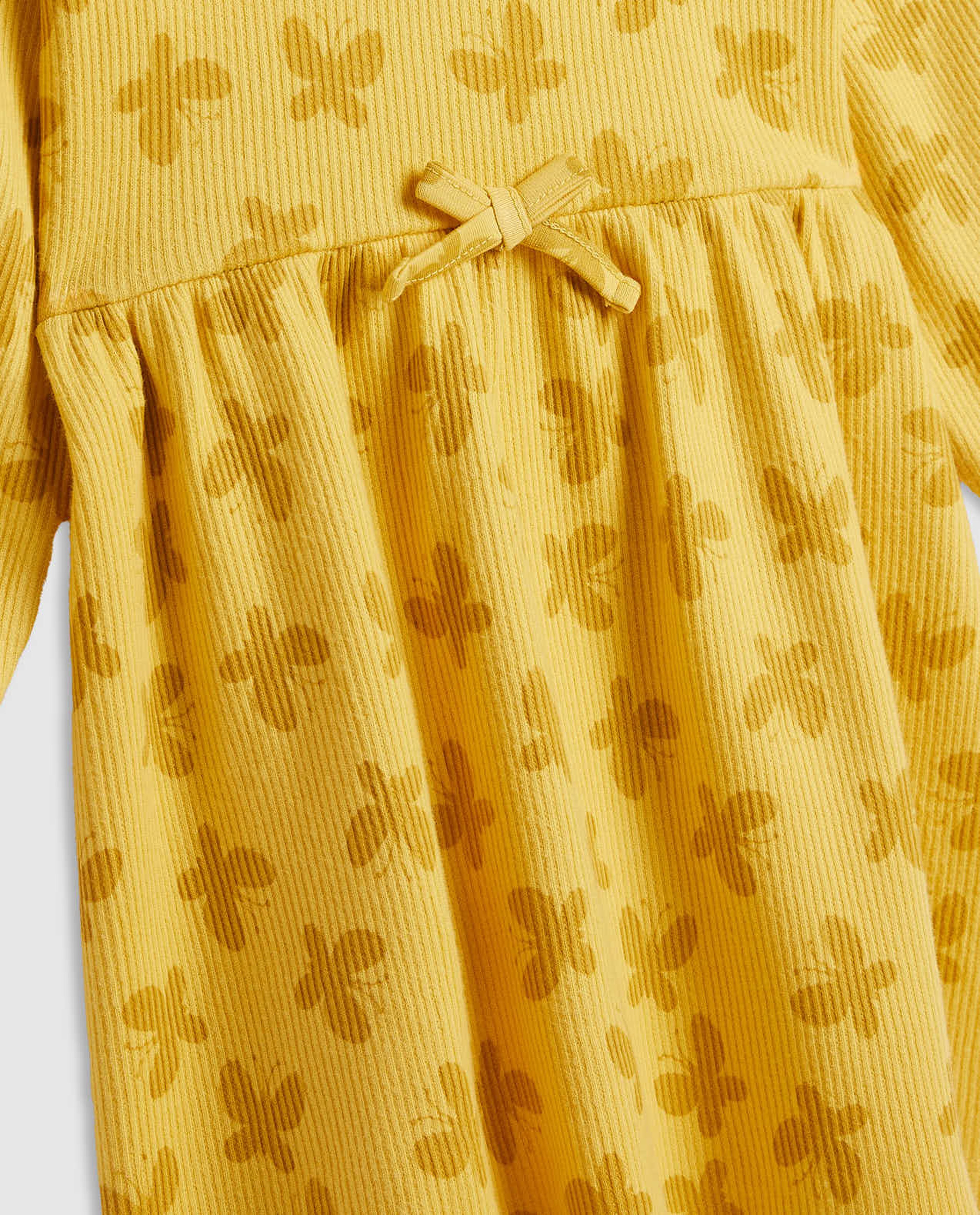 Printed Fit and Flare Dress with Long Sleeves