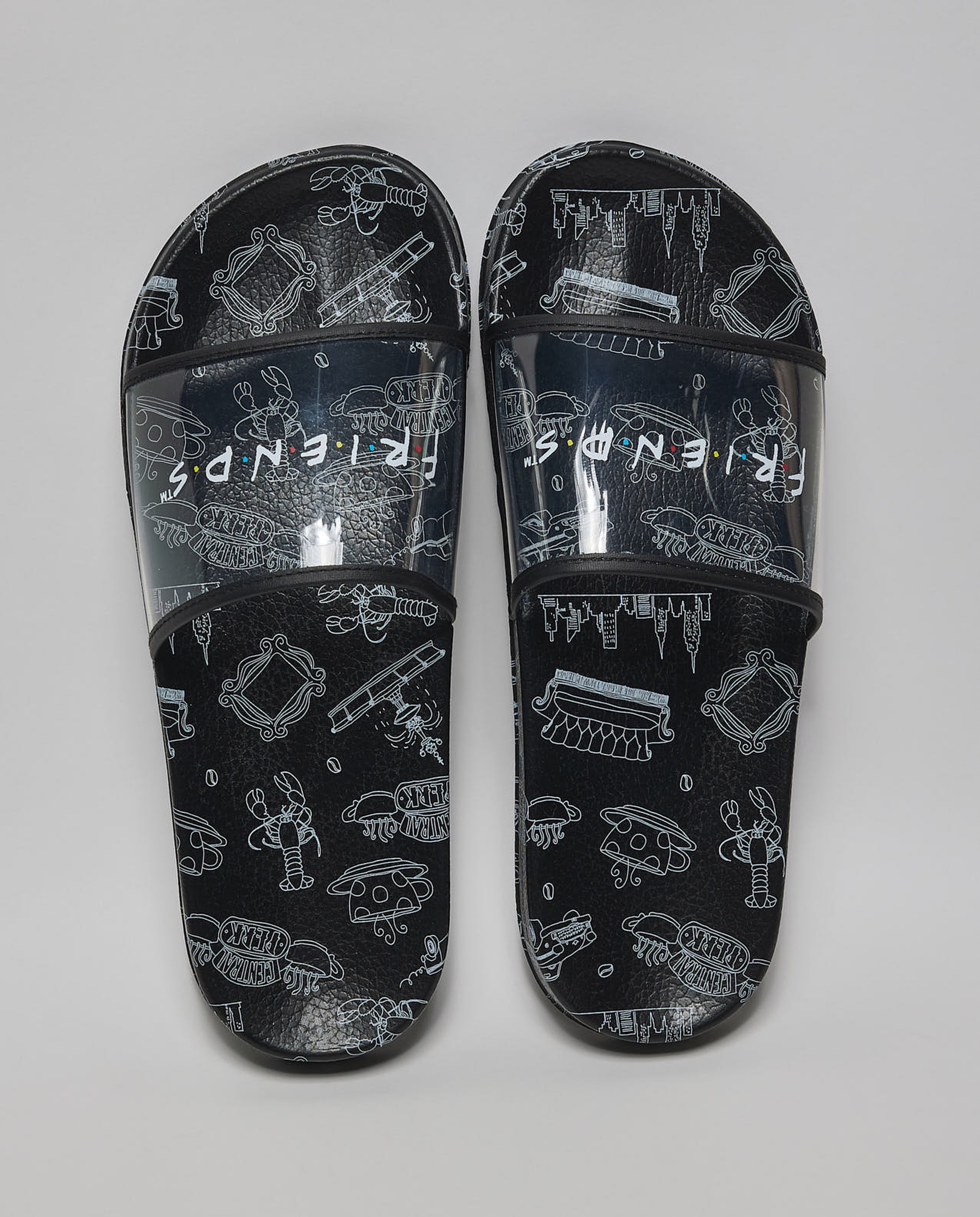 Transparent Strap Slides