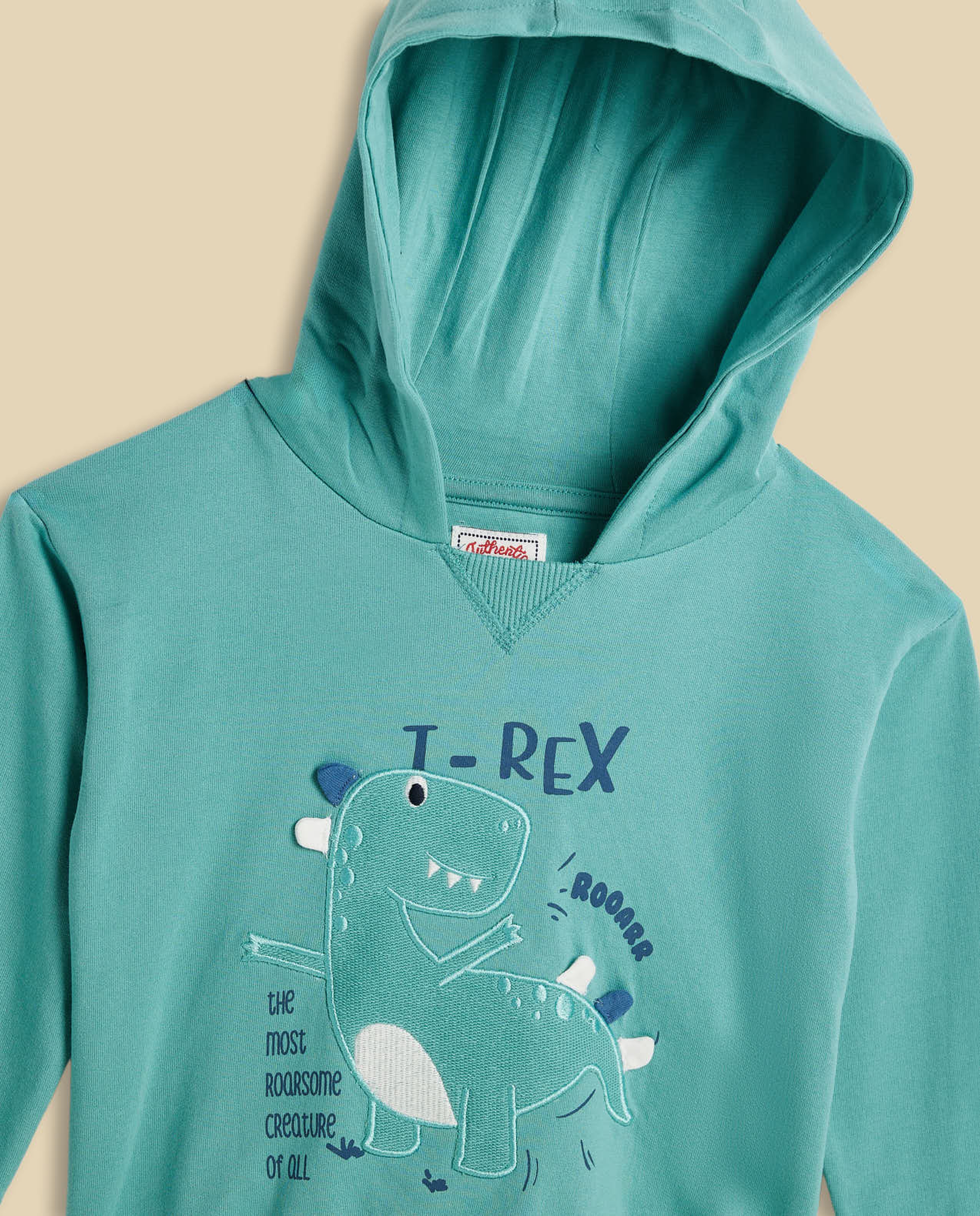 T-Rex Printed Hoodie with Long Sleeves