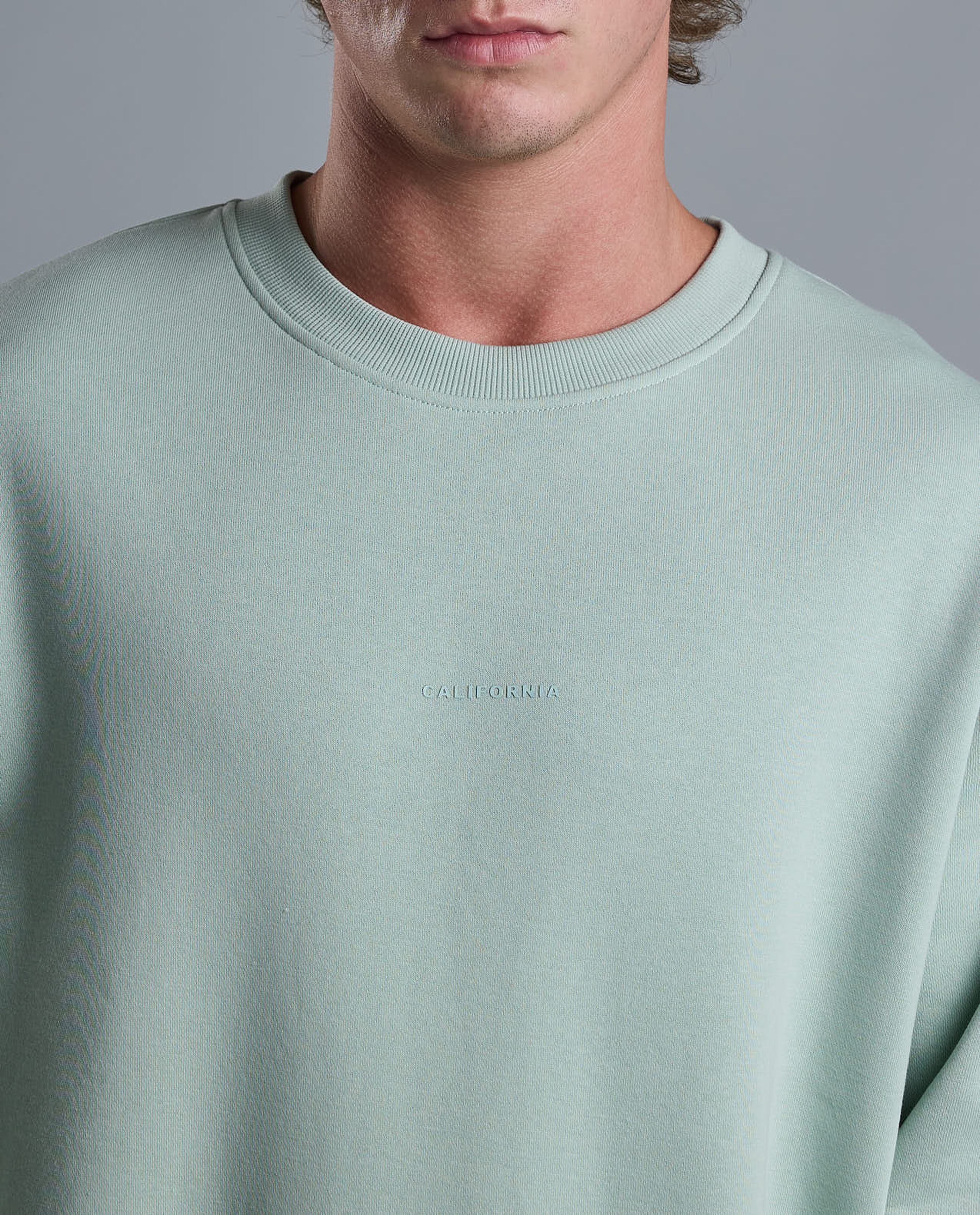Solid Sweatshirt with Crew Neck and Long Sleeves