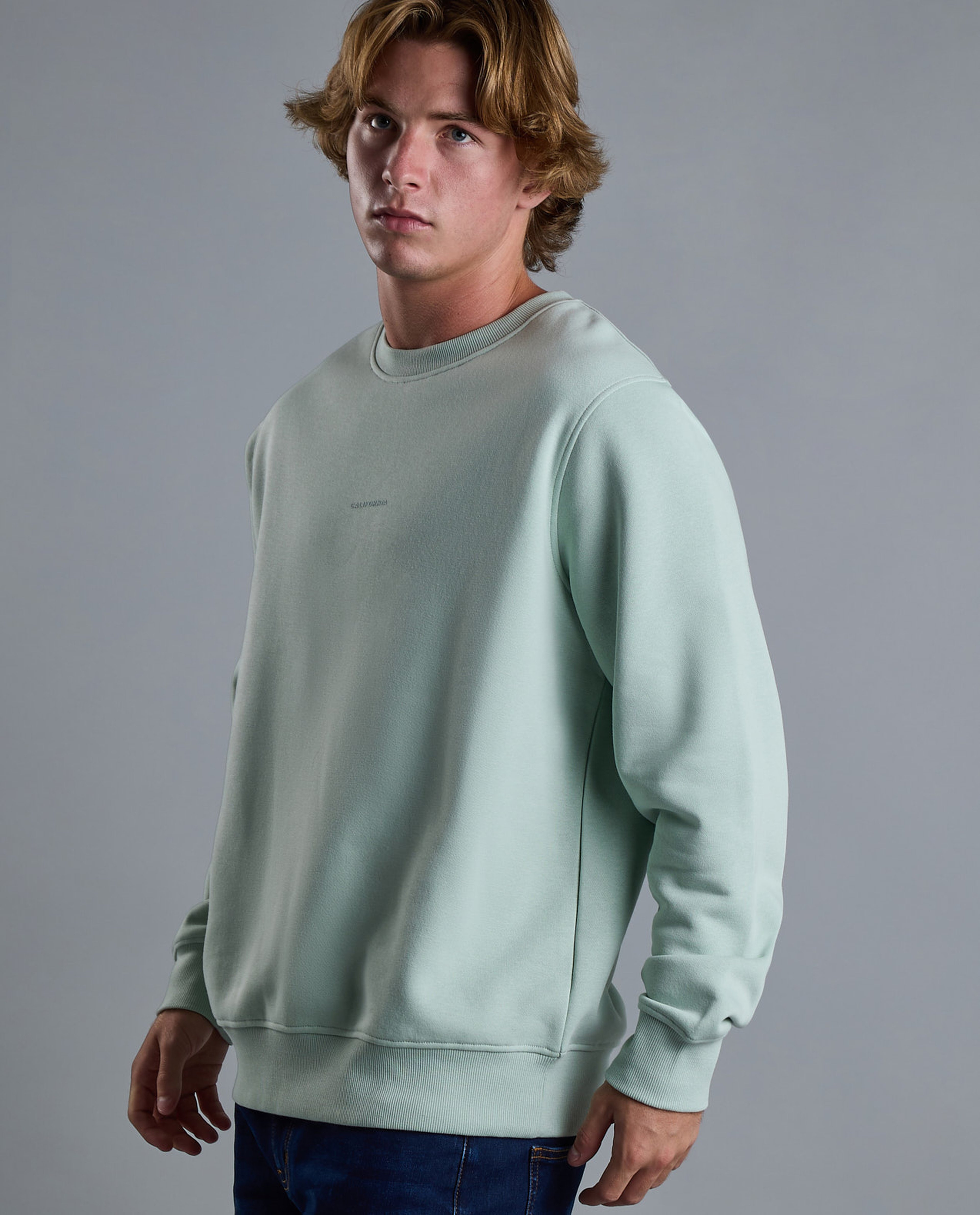 Solid Sweatshirt with Crew Neck and Long Sleeves