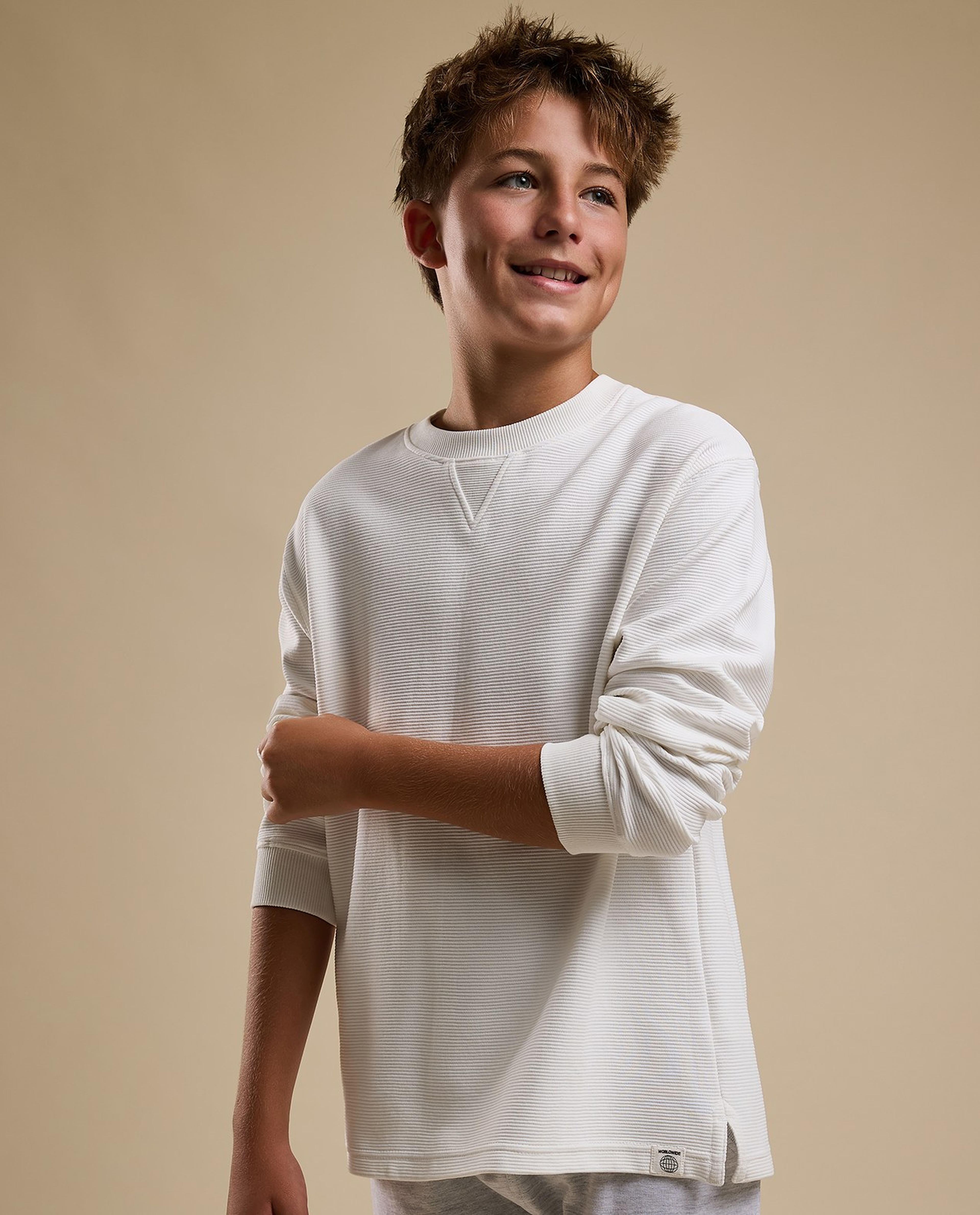 Textured Sweatshirt with Crew Neck and Long Sleeves