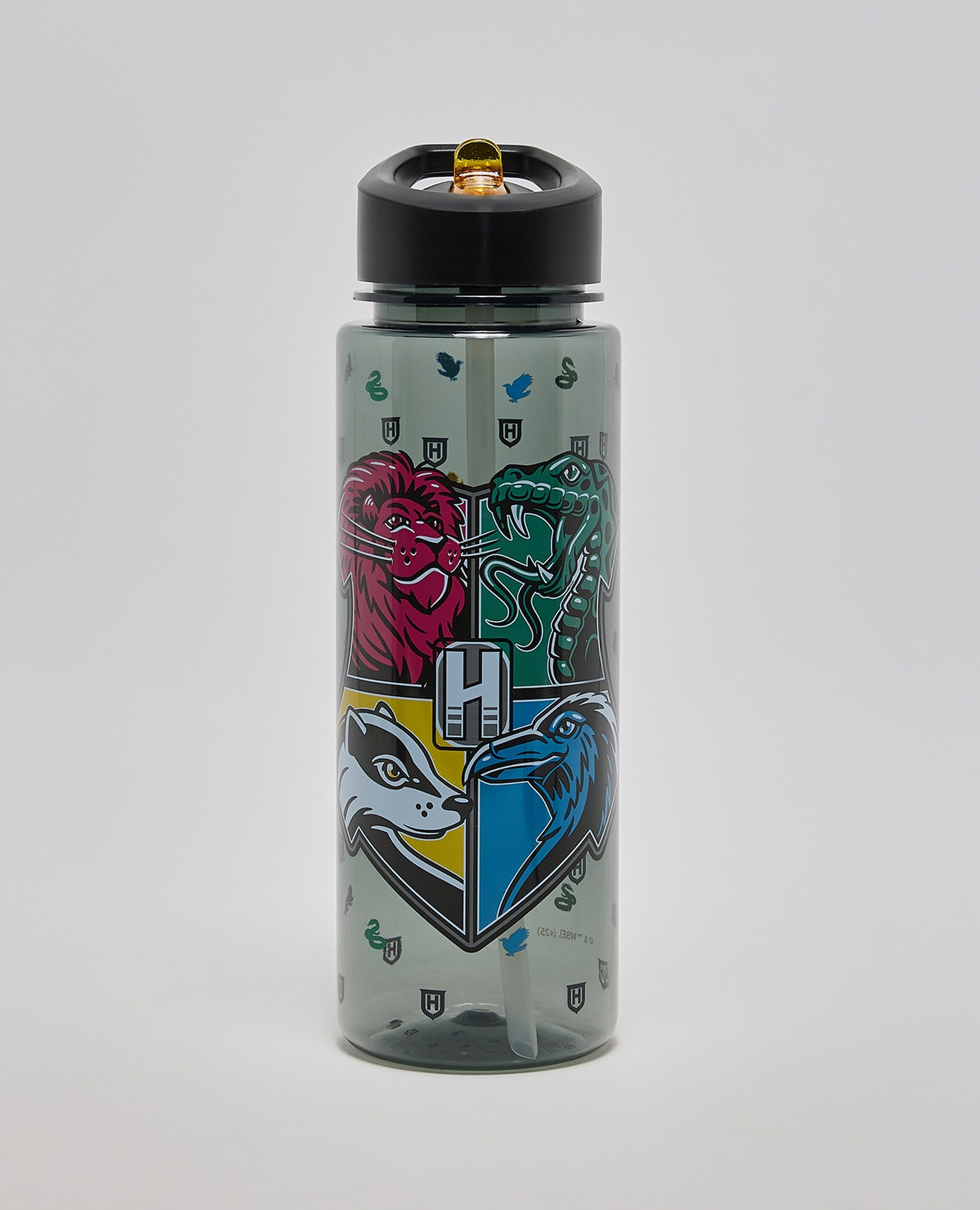 قارورة ماء بطبعة هاري بوتر - 750 مل