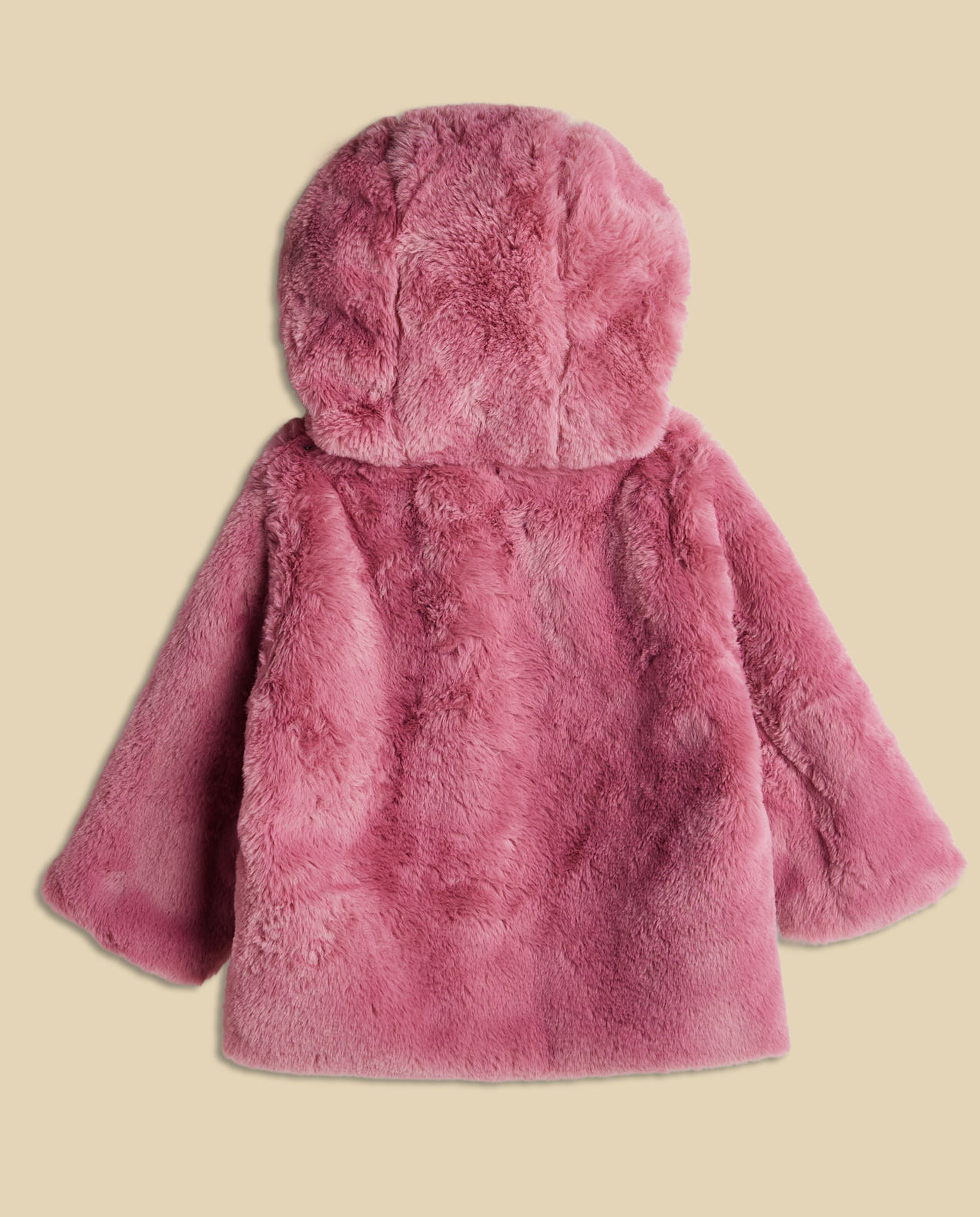 Furry Hooded Jacket with Zipper Closure