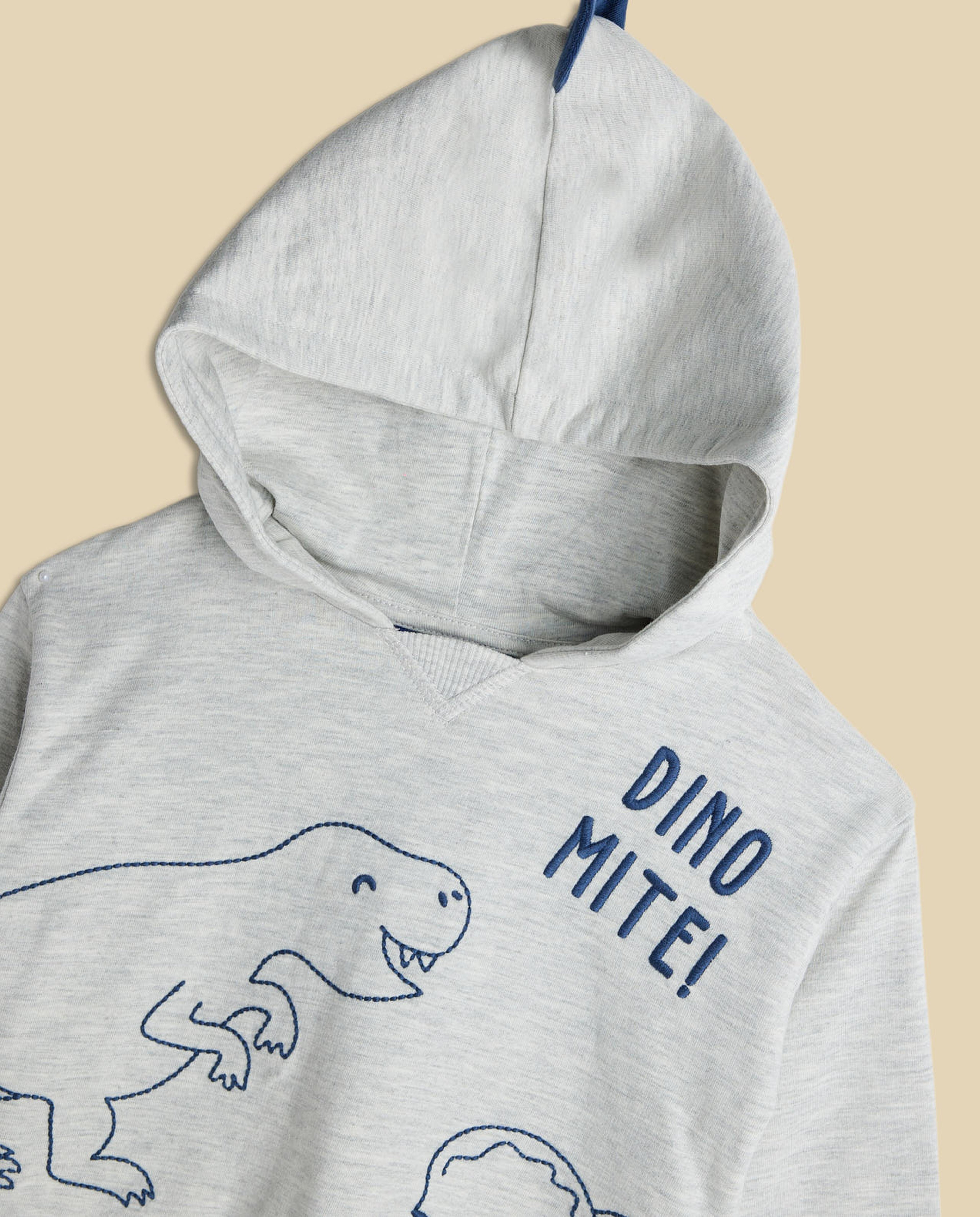 Dino Print Hooded Clothing Set