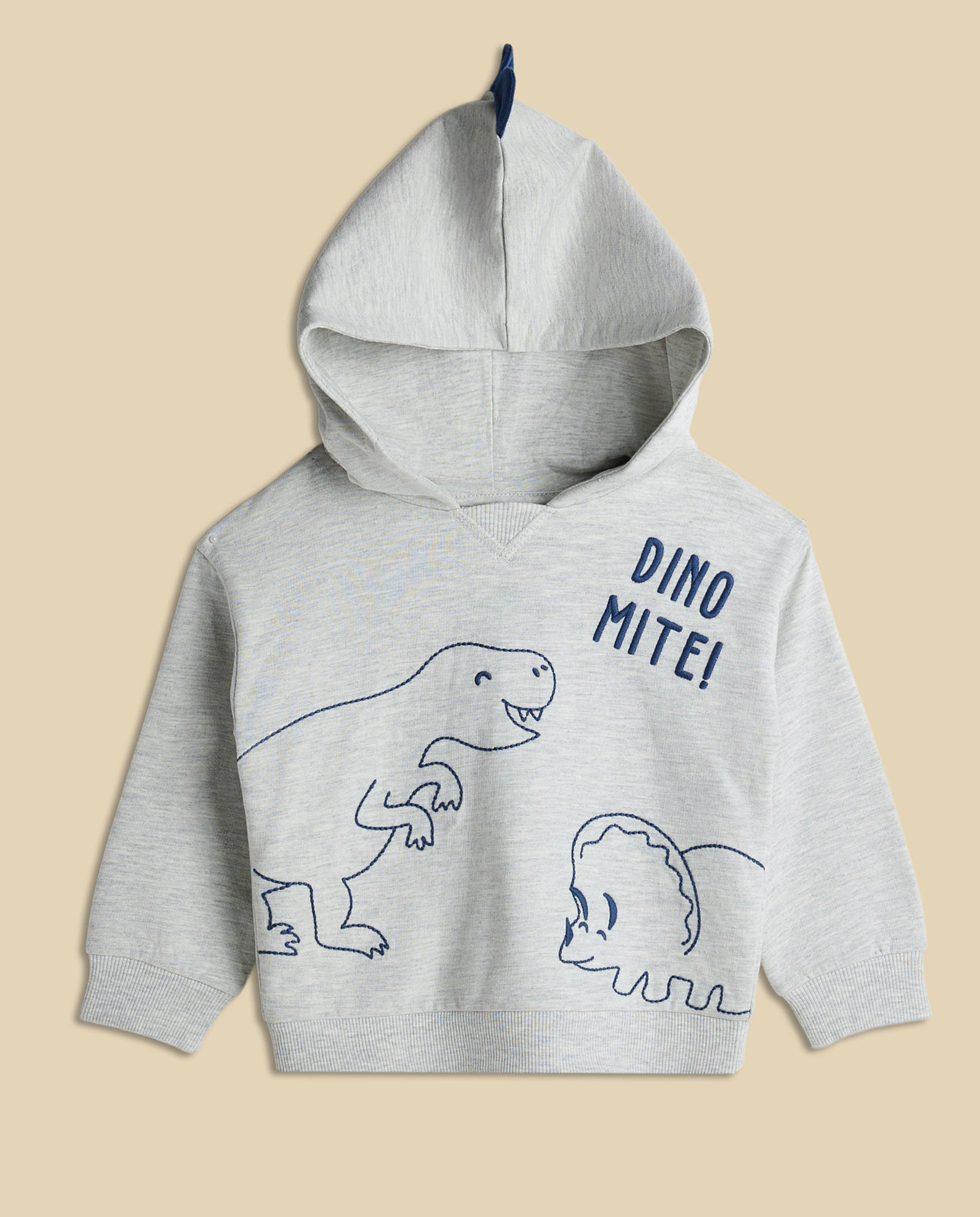 Dino Print Hooded Clothing Set