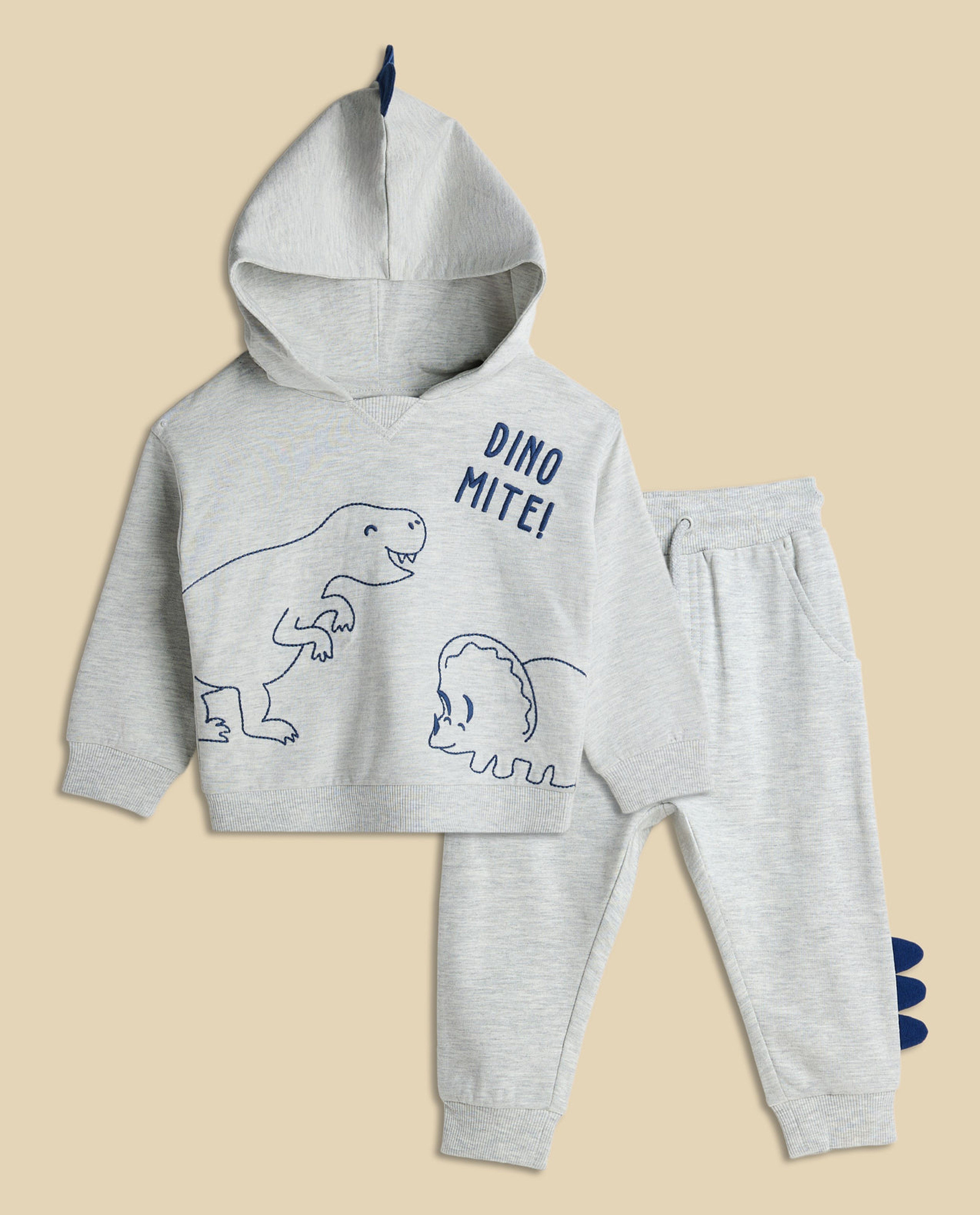 Dino Print Hooded Clothing Set