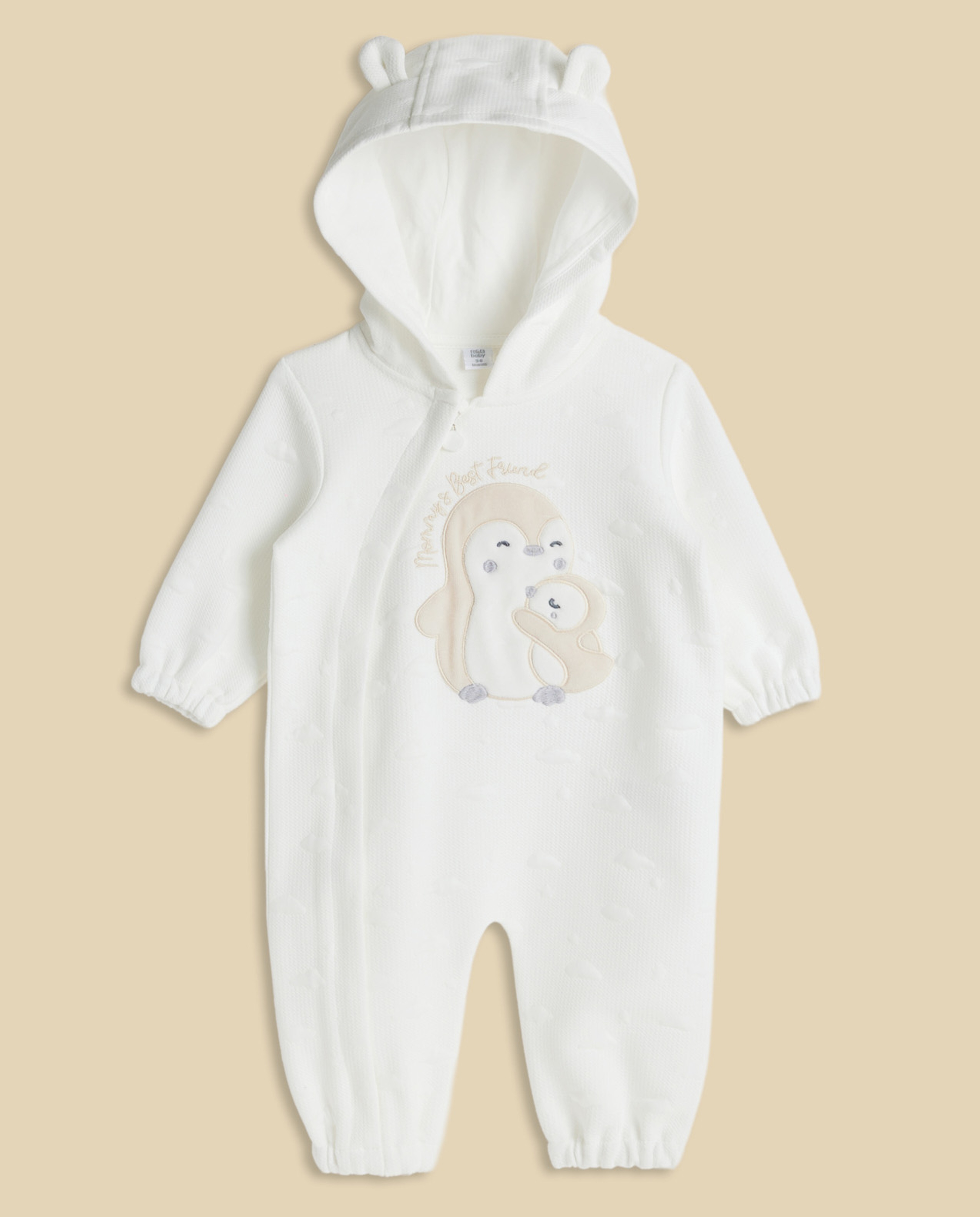 Appliqued Hooded Sleepsuit