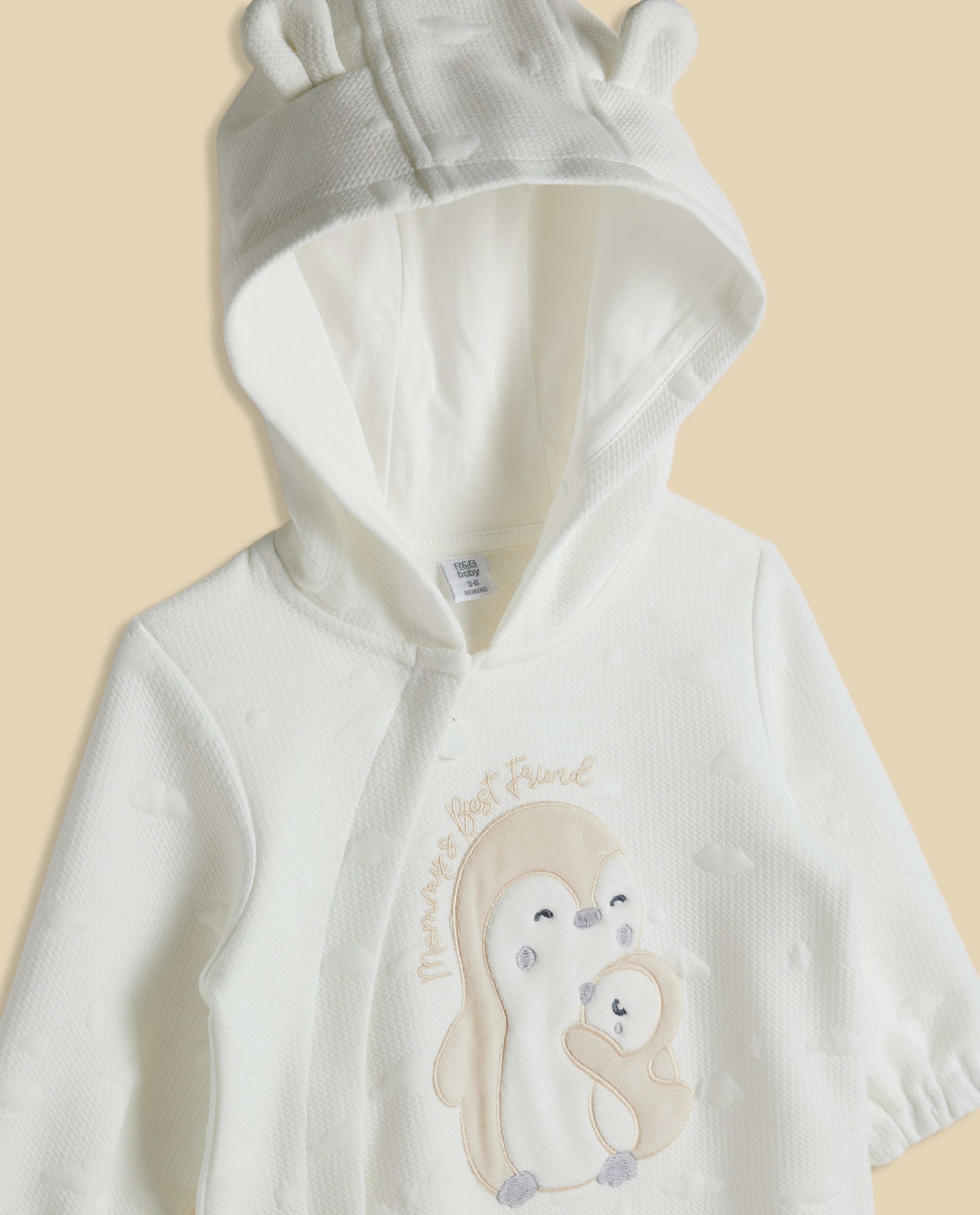 Appliqued Hooded Sleepsuit