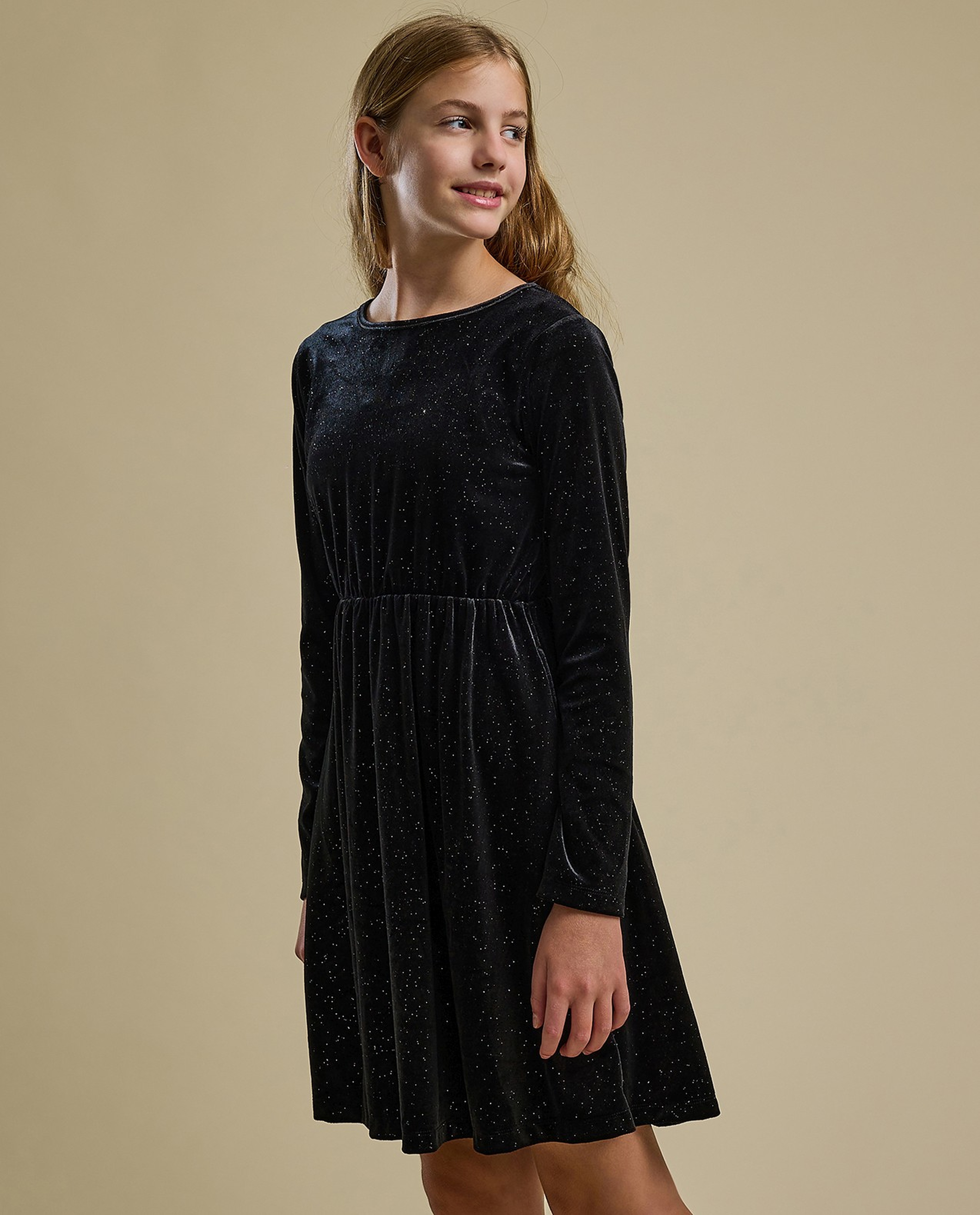 Solid Fit and Flare Dress with Crew Neck and Long Sleeves