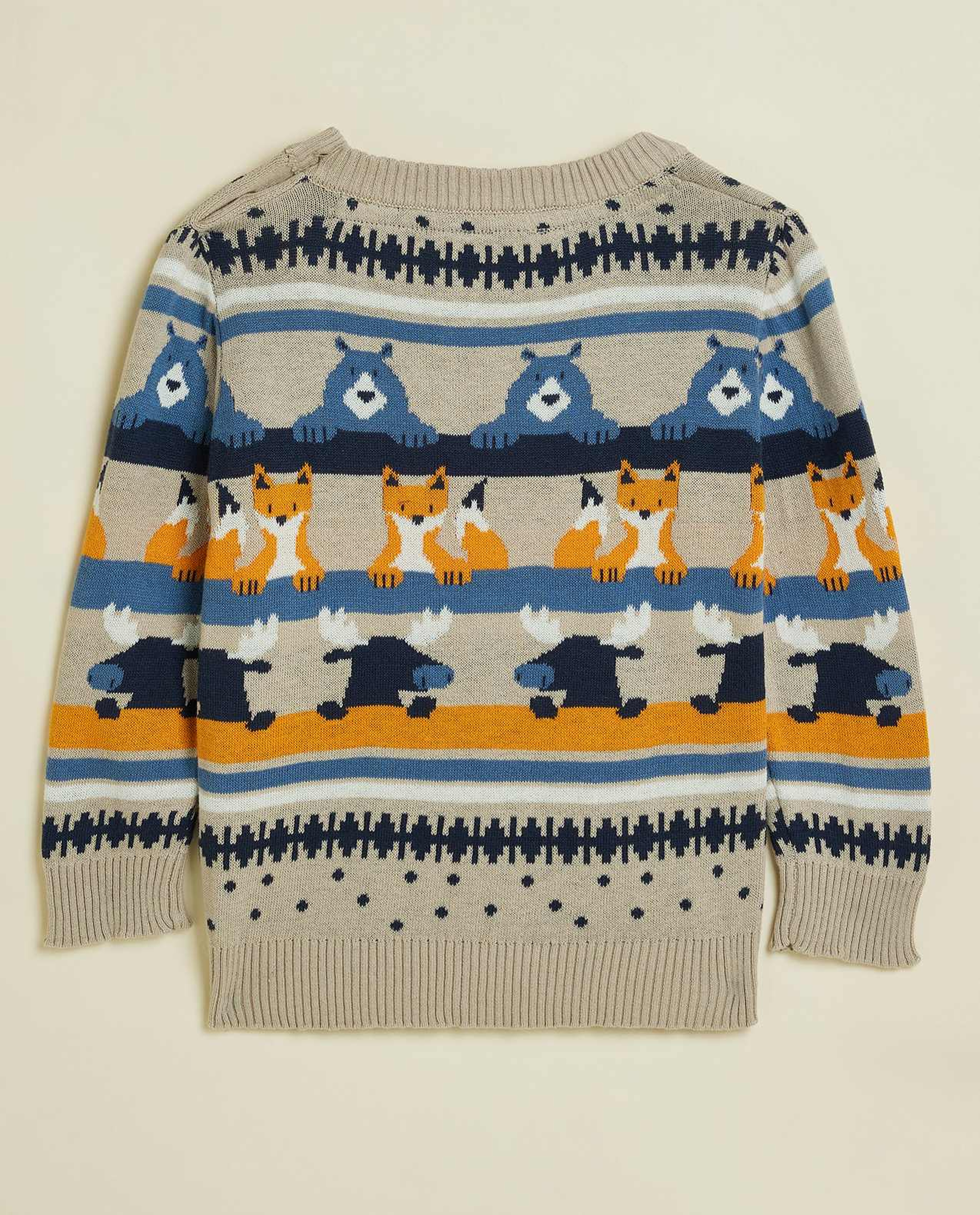 Patterned Sweater with Crew Neck and Long Sleeves