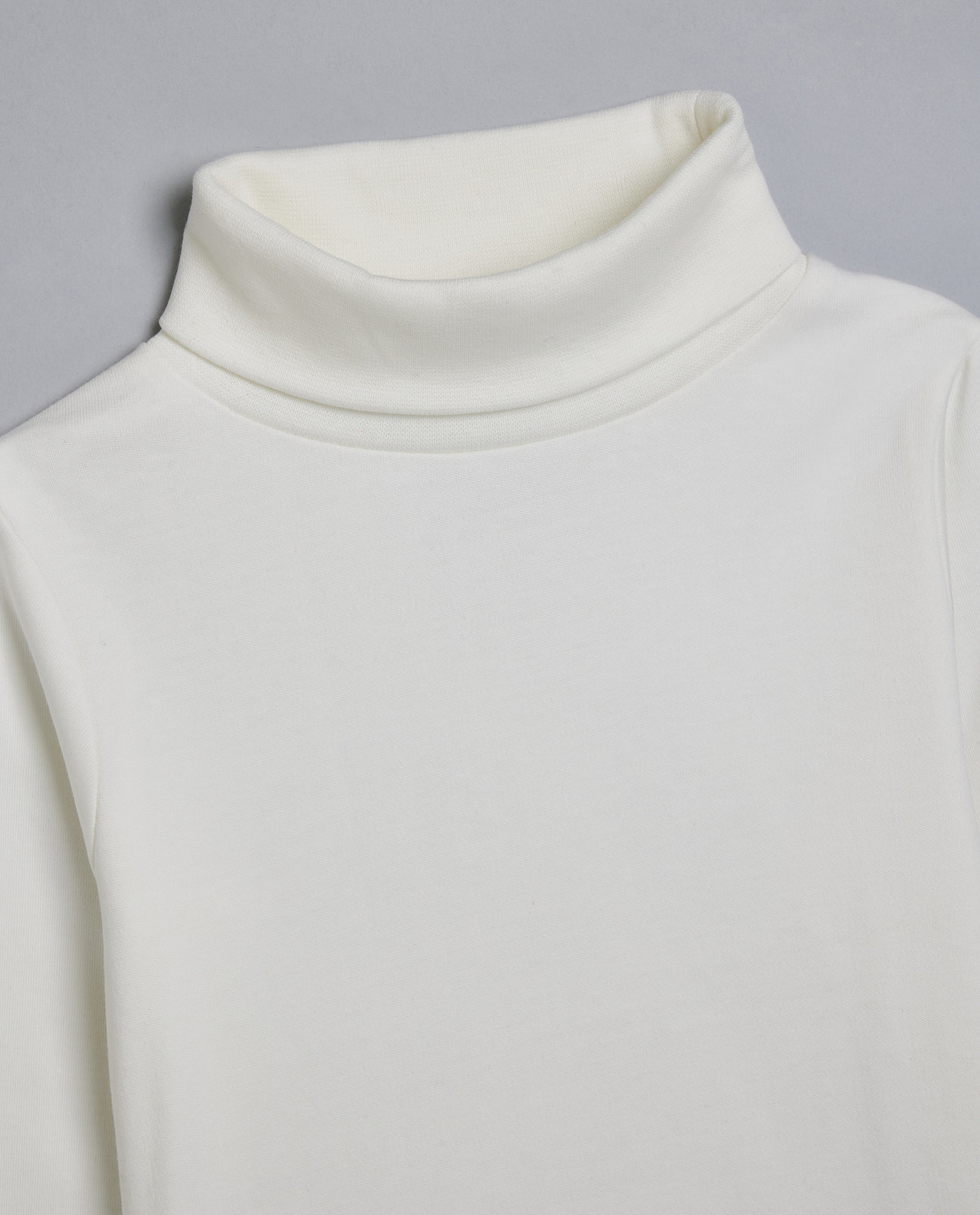 Solid T-Shirt with Turtleneck and Long Sleeves