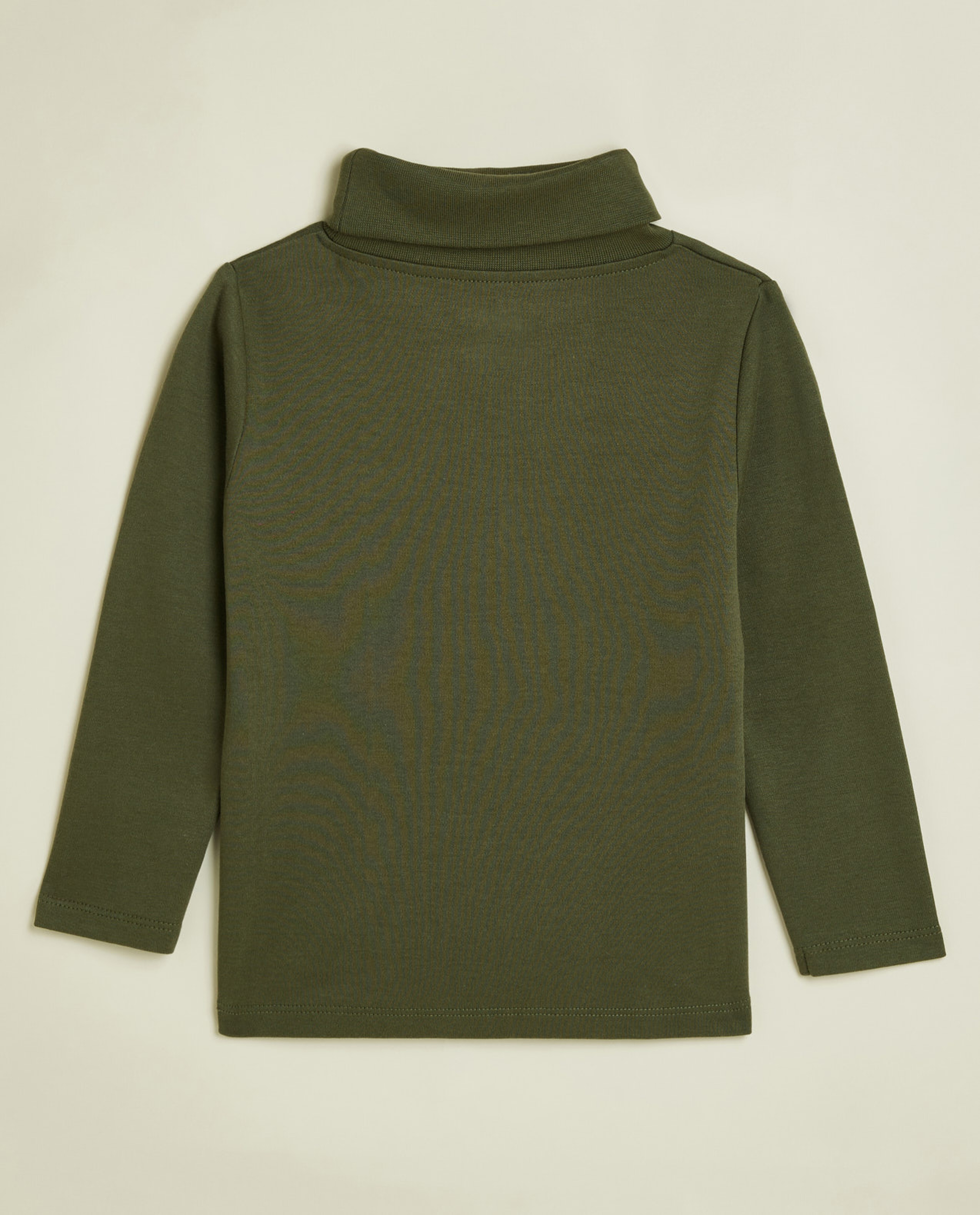 Solid T-Shirt with Turtleneck and Long Sleeves