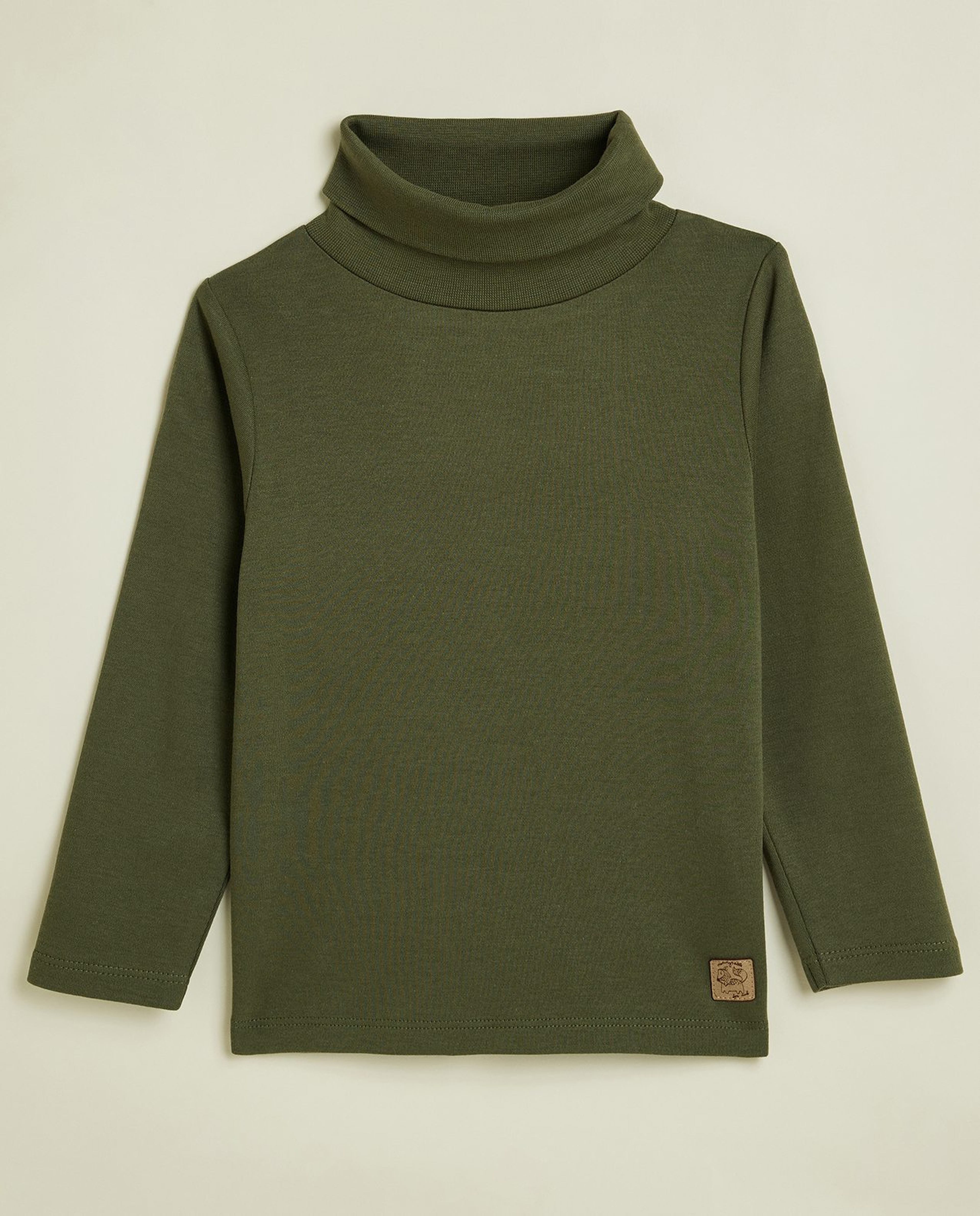 Solid T-Shirt with Turtleneck and Long Sleeves