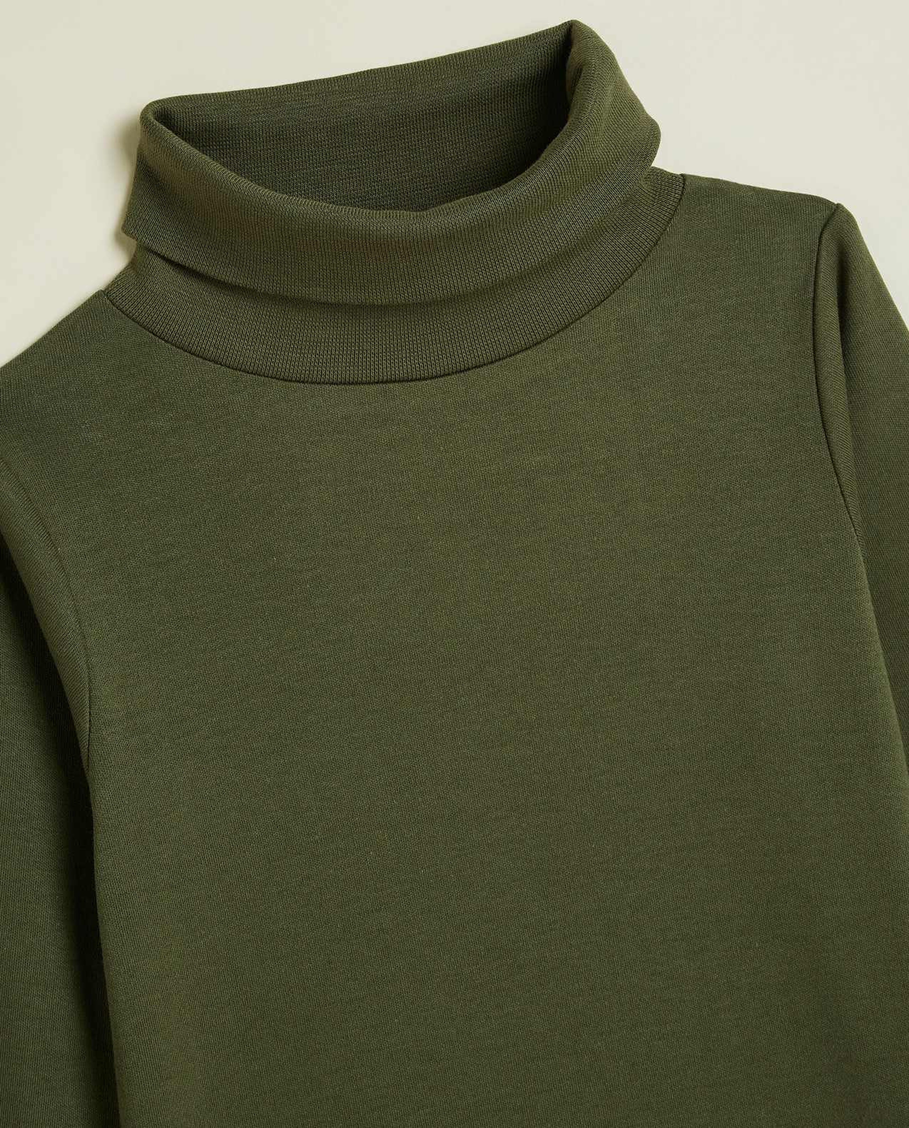 Solid T-Shirt with Turtleneck and Long Sleeves