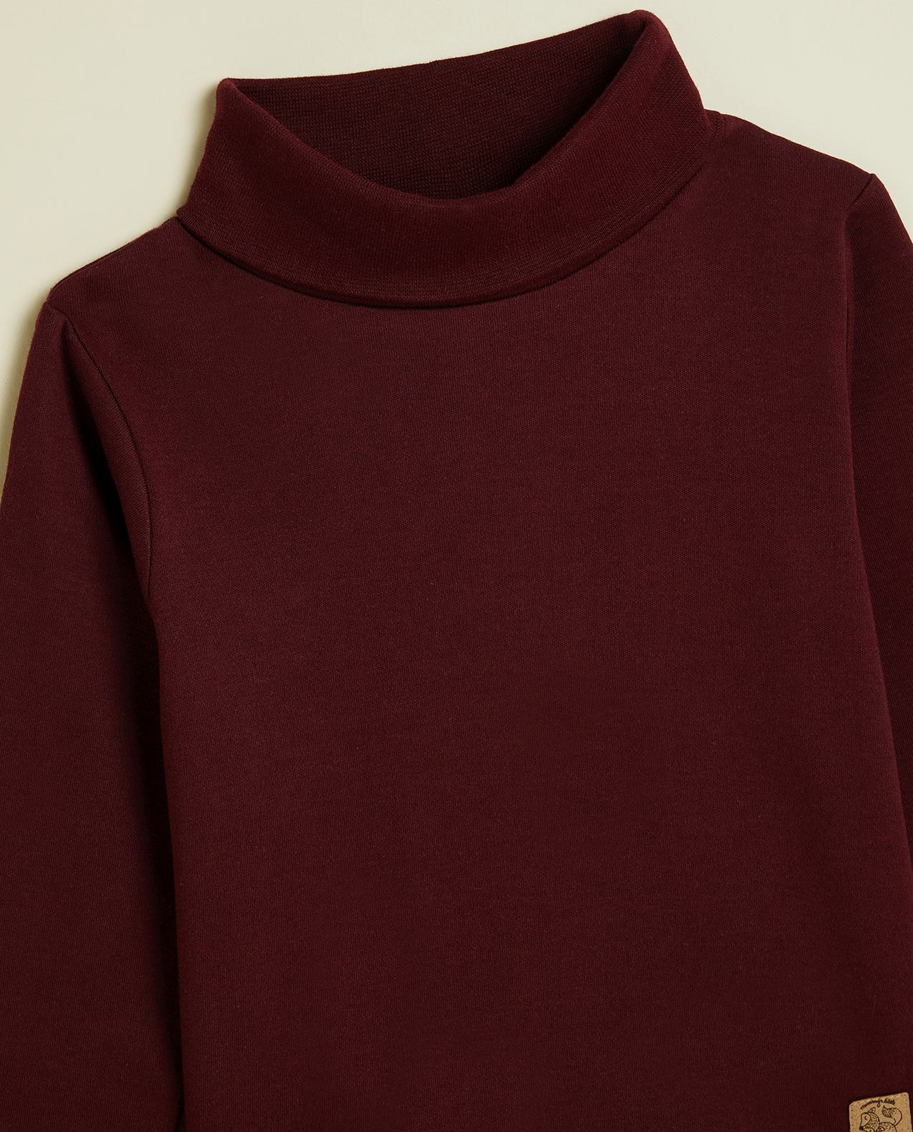 Solid T-Shirt with Turtleneck and Long Sleeves