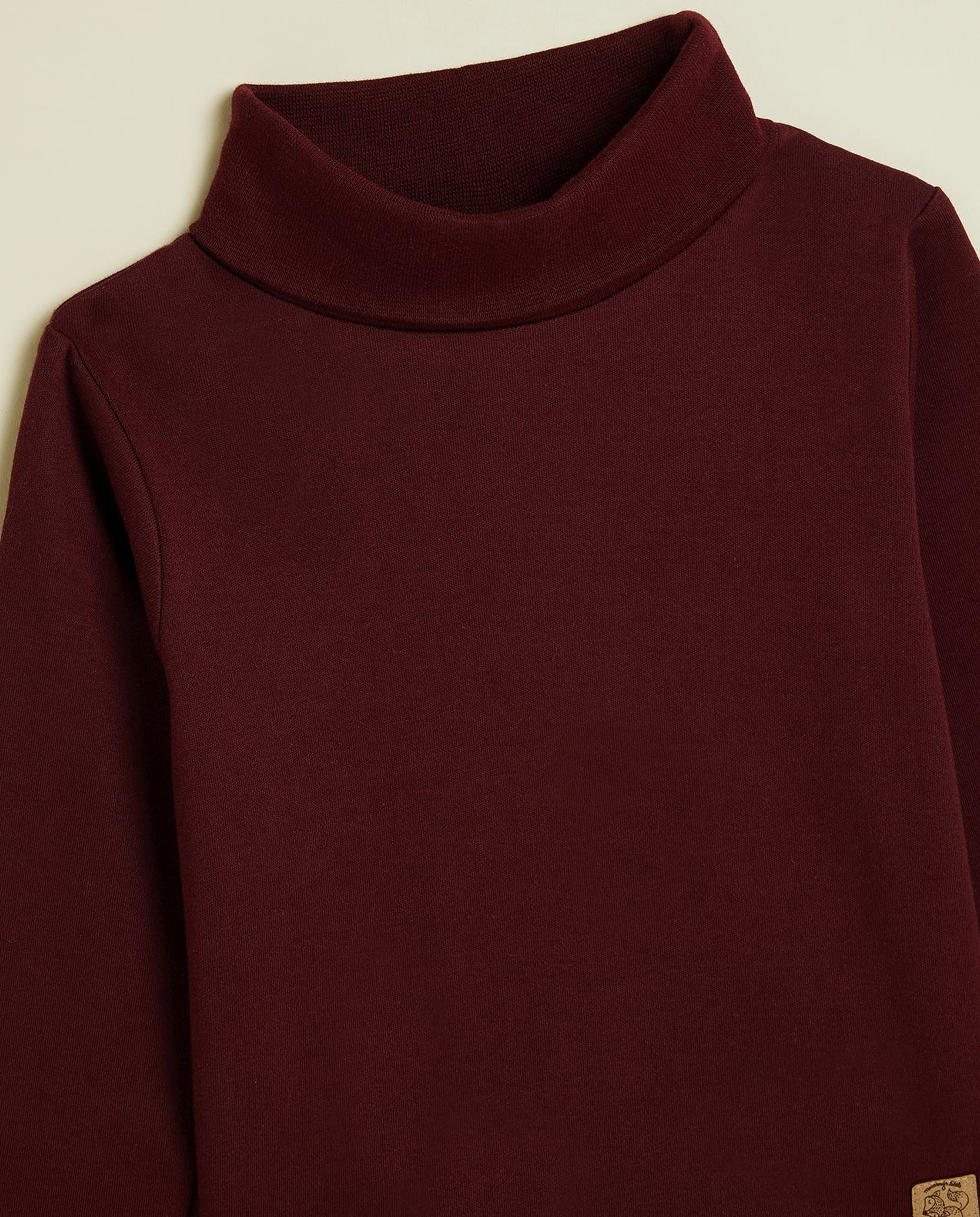 Solid T-Shirt with Turtleneck and Long Sleeves