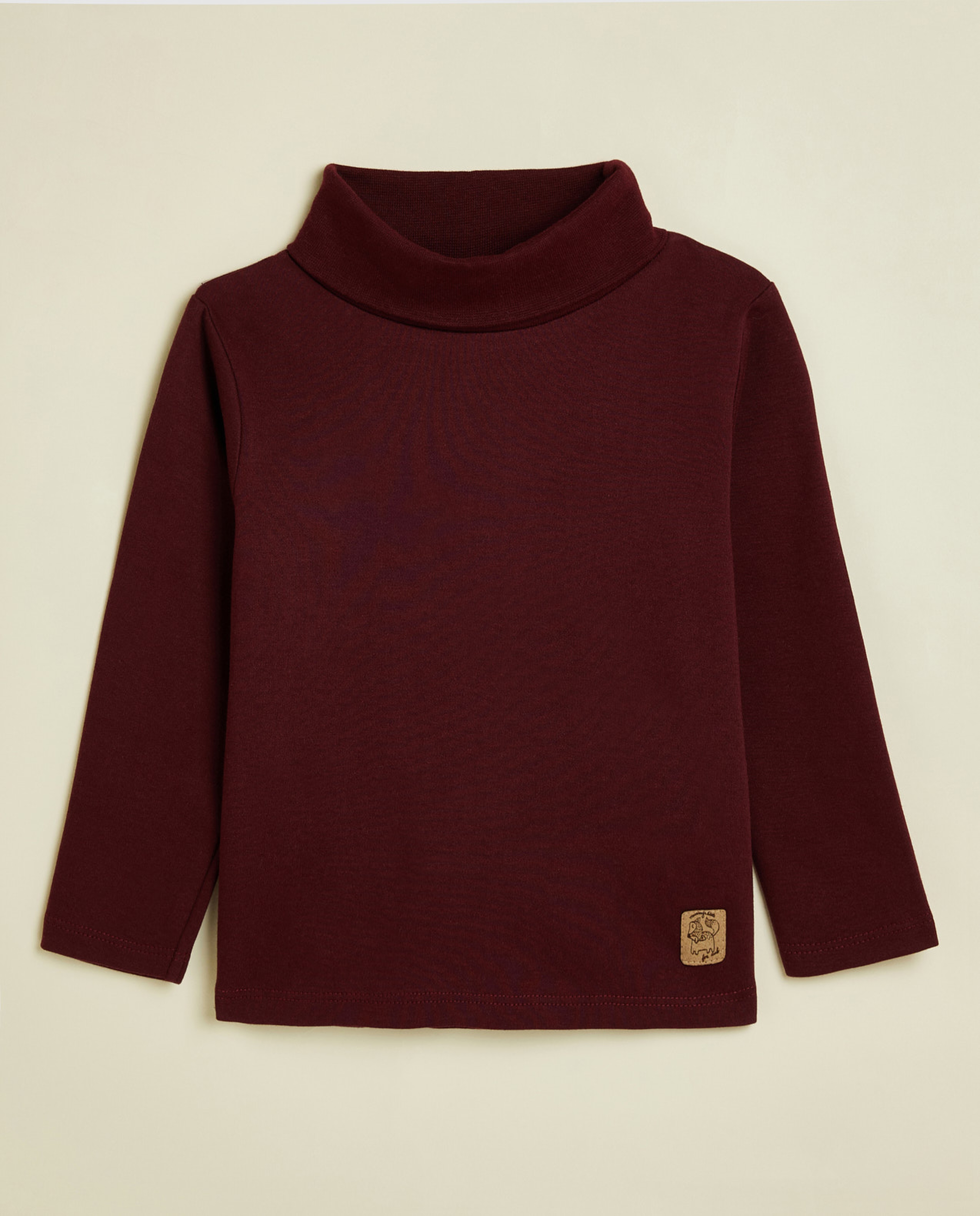 Solid T-Shirt with Turtleneck and Long Sleeves