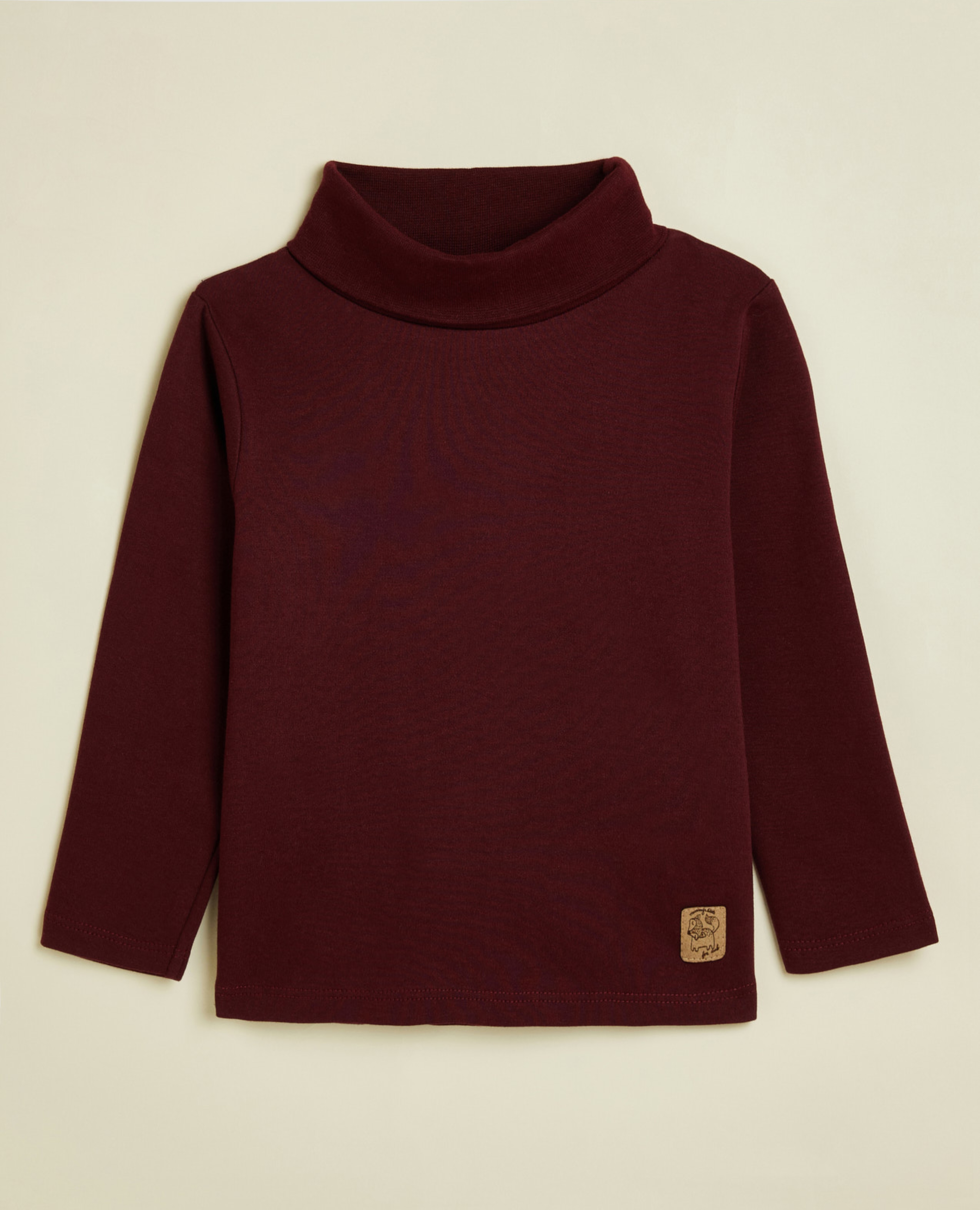 Solid T-Shirt with Turtleneck and Long Sleeves