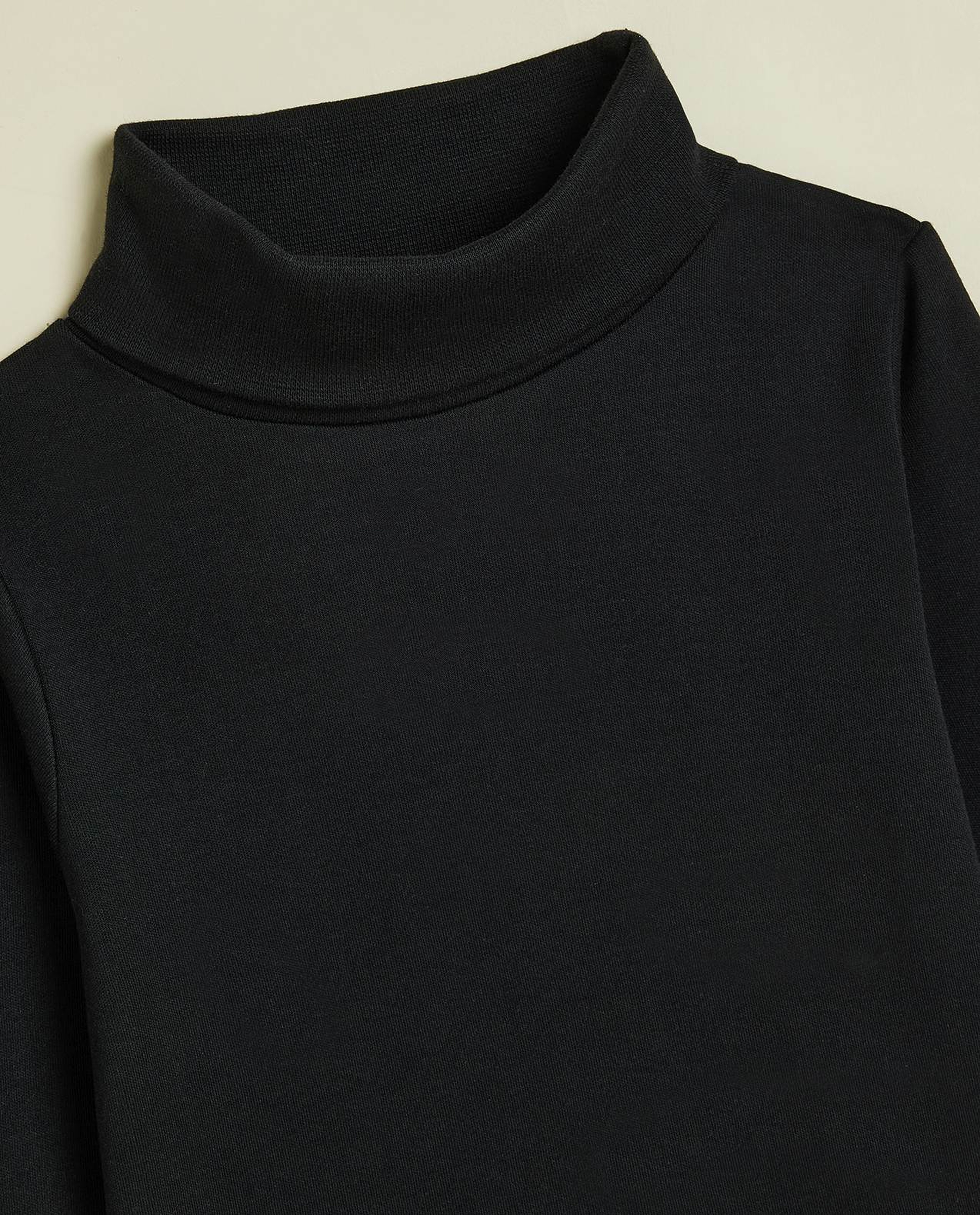 Solid T-Shirt with Turtleneck and Long Sleeves