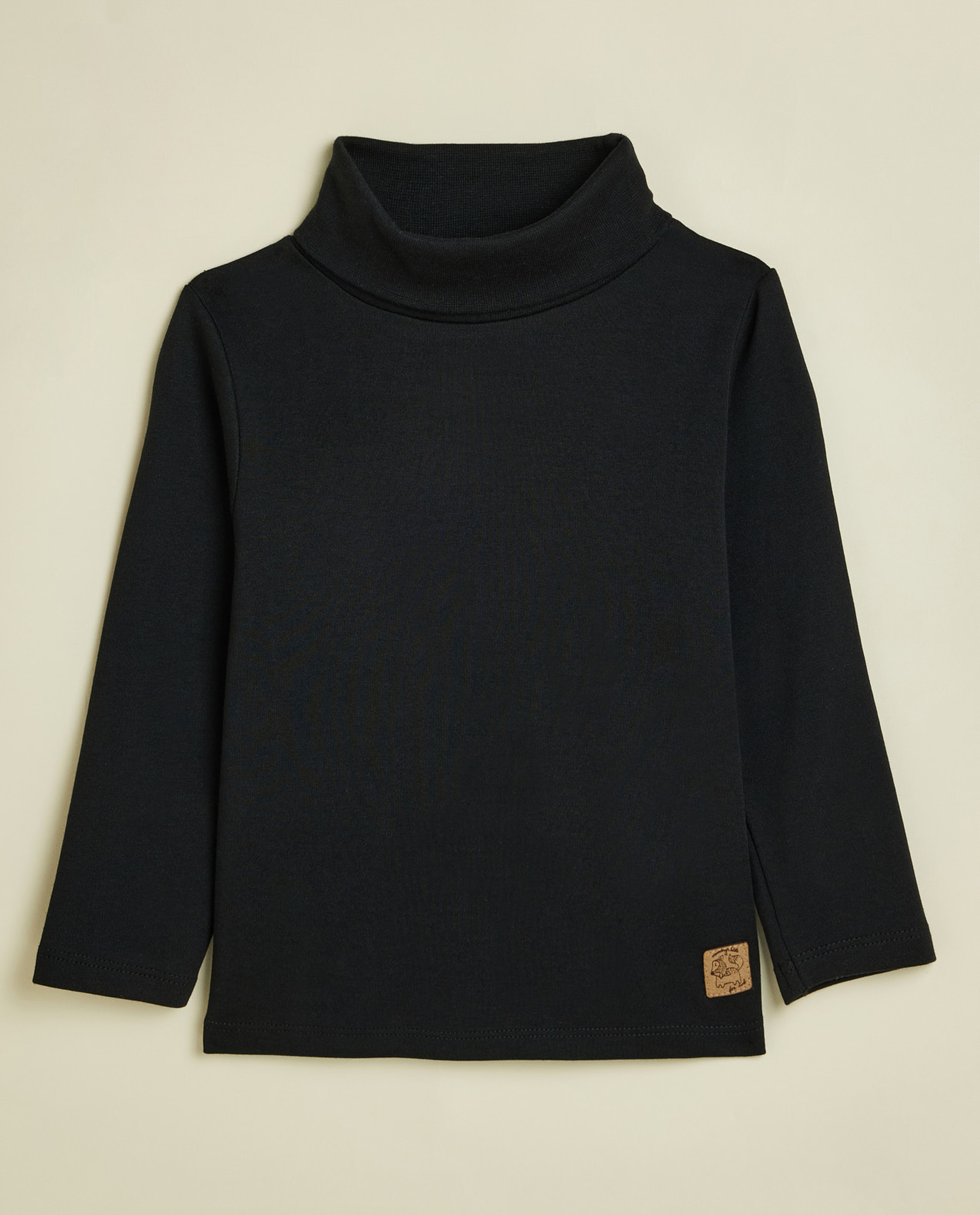 Solid T-Shirt with Turtleneck and Long Sleeves