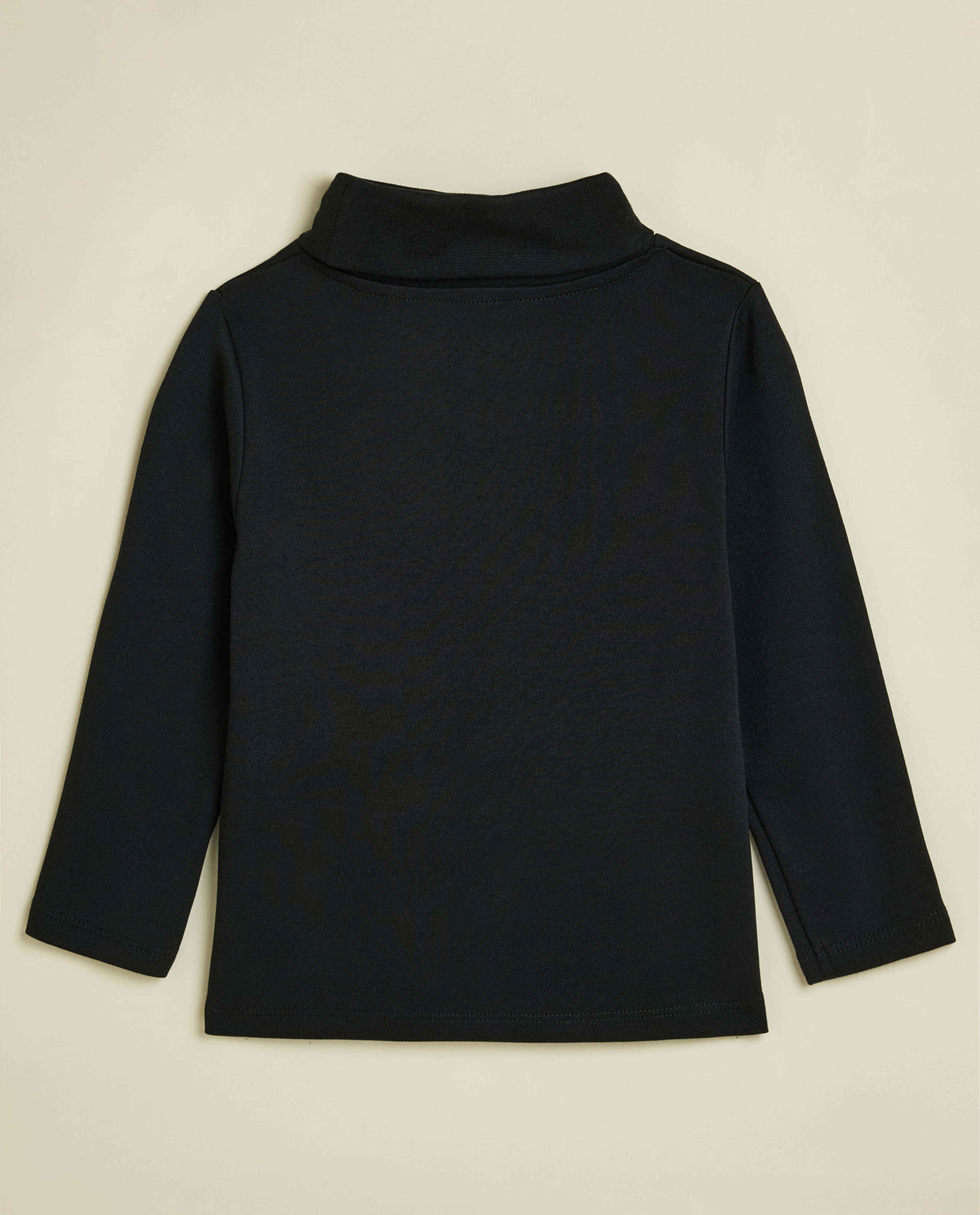 Solid T-Shirt with Turtleneck and Long Sleeves