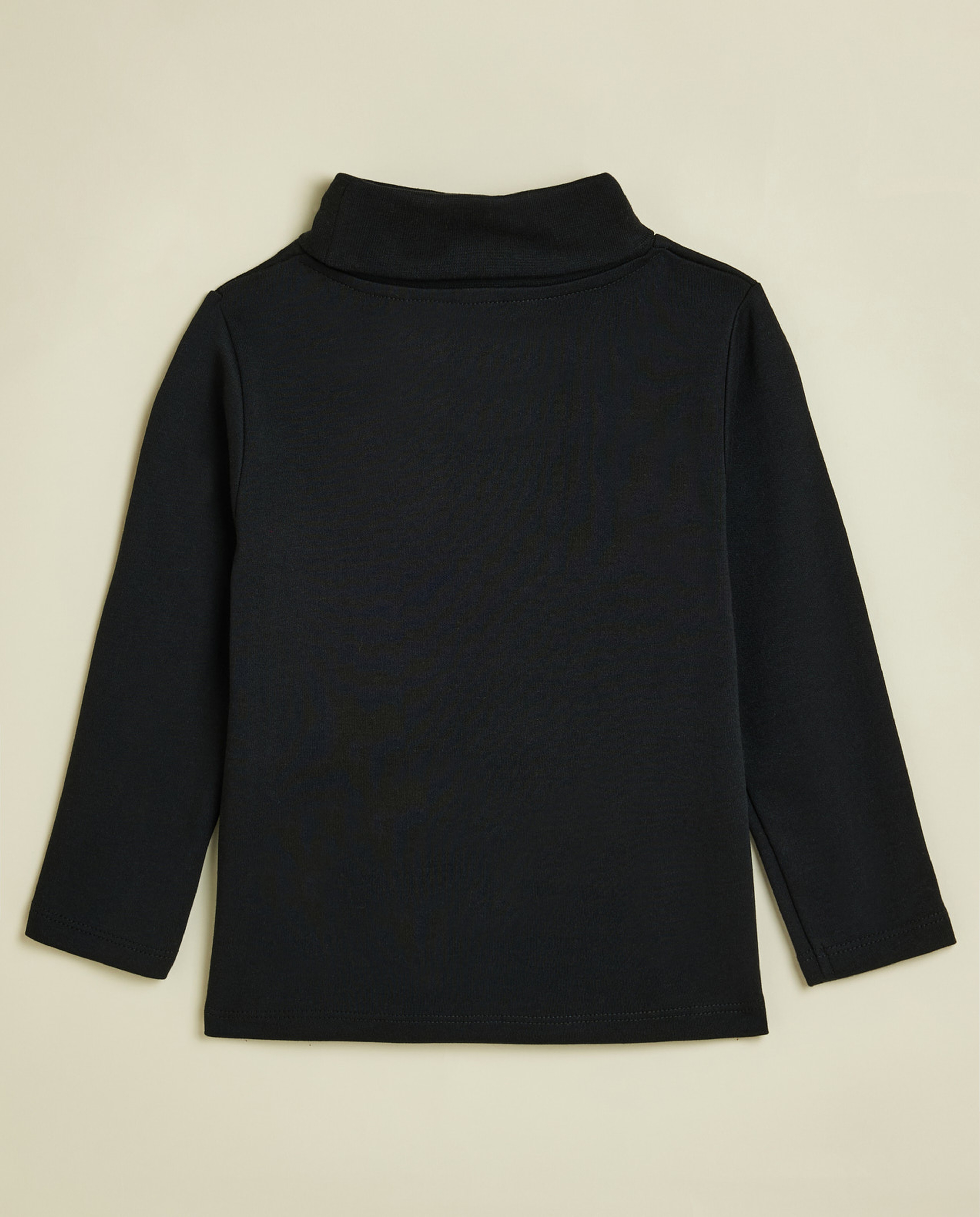 Solid T-Shirt with Turtleneck and Long Sleeves