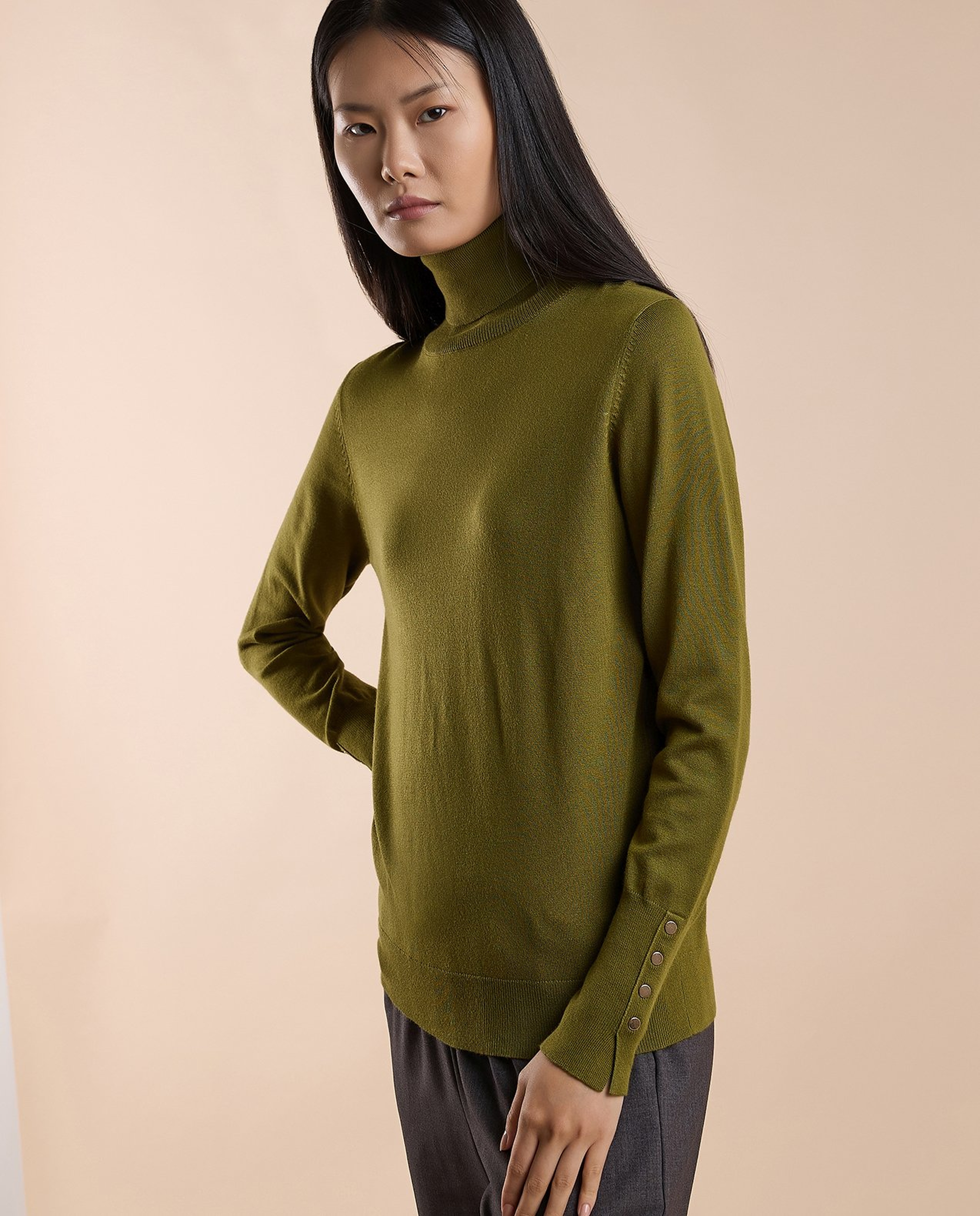 Solid Sweater with Turtleneck and Long Sleeves
