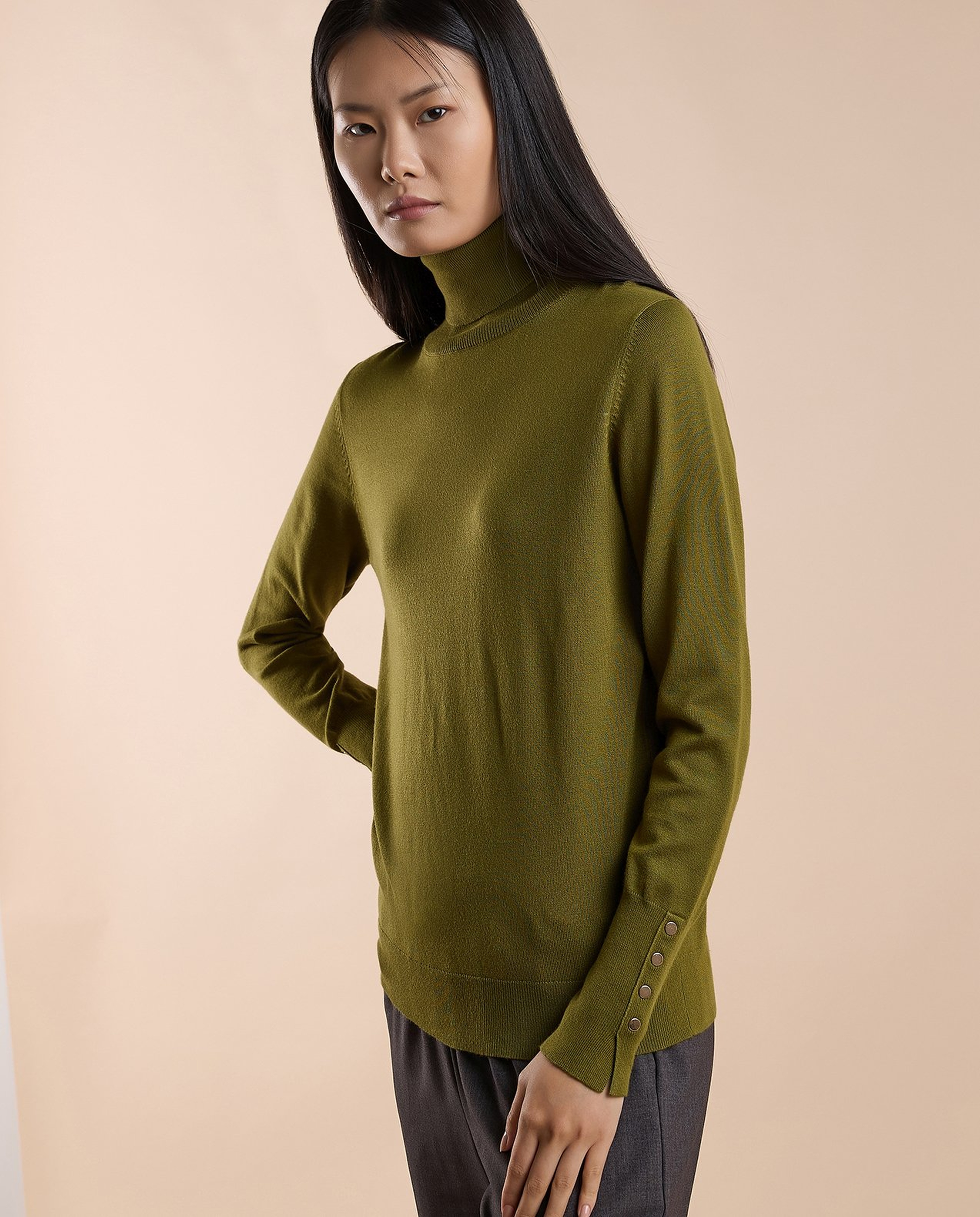 Solid Sweater with Turtleneck and Long Sleeves