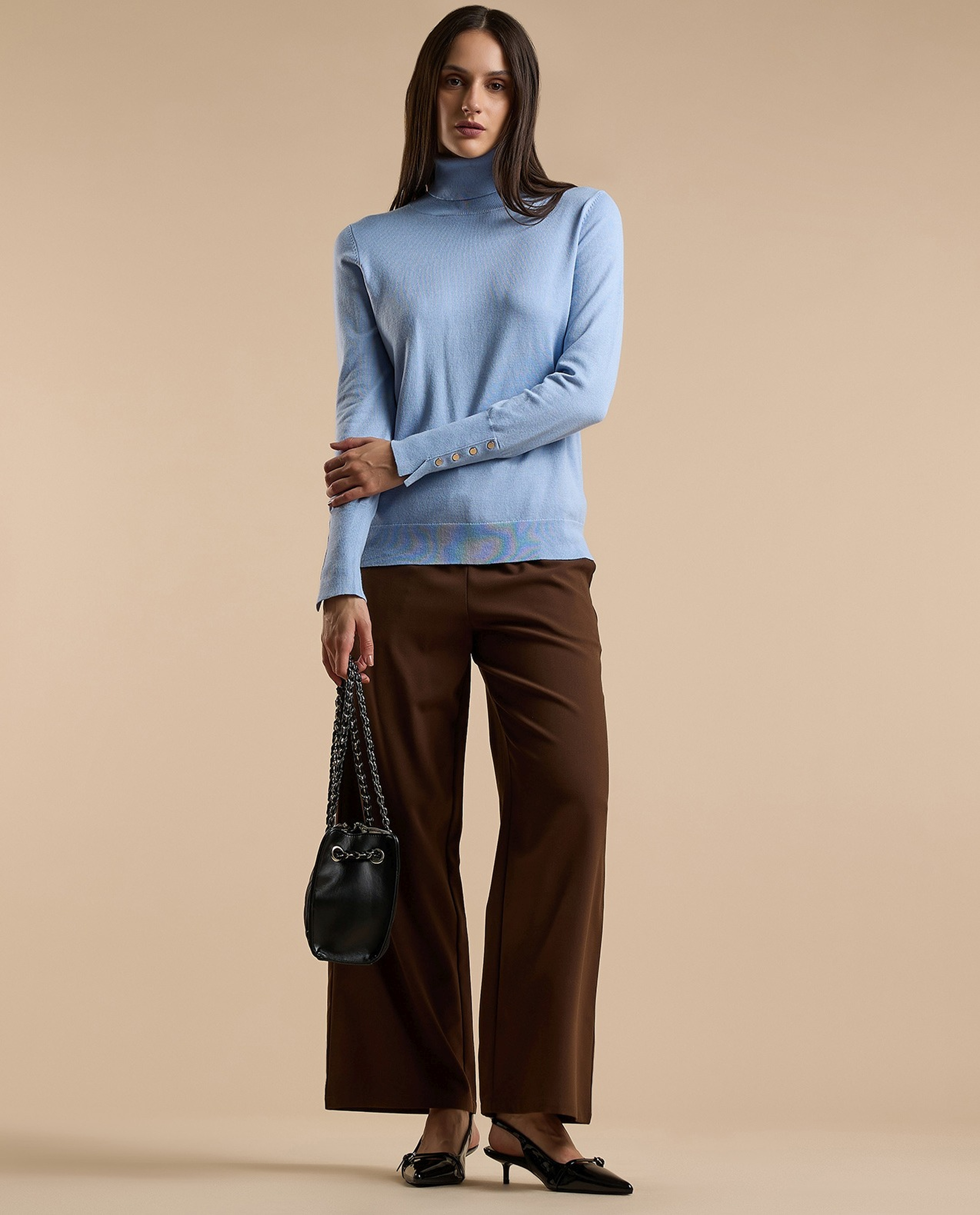 Solid Sweater with Turtleneck and Long Sleeves