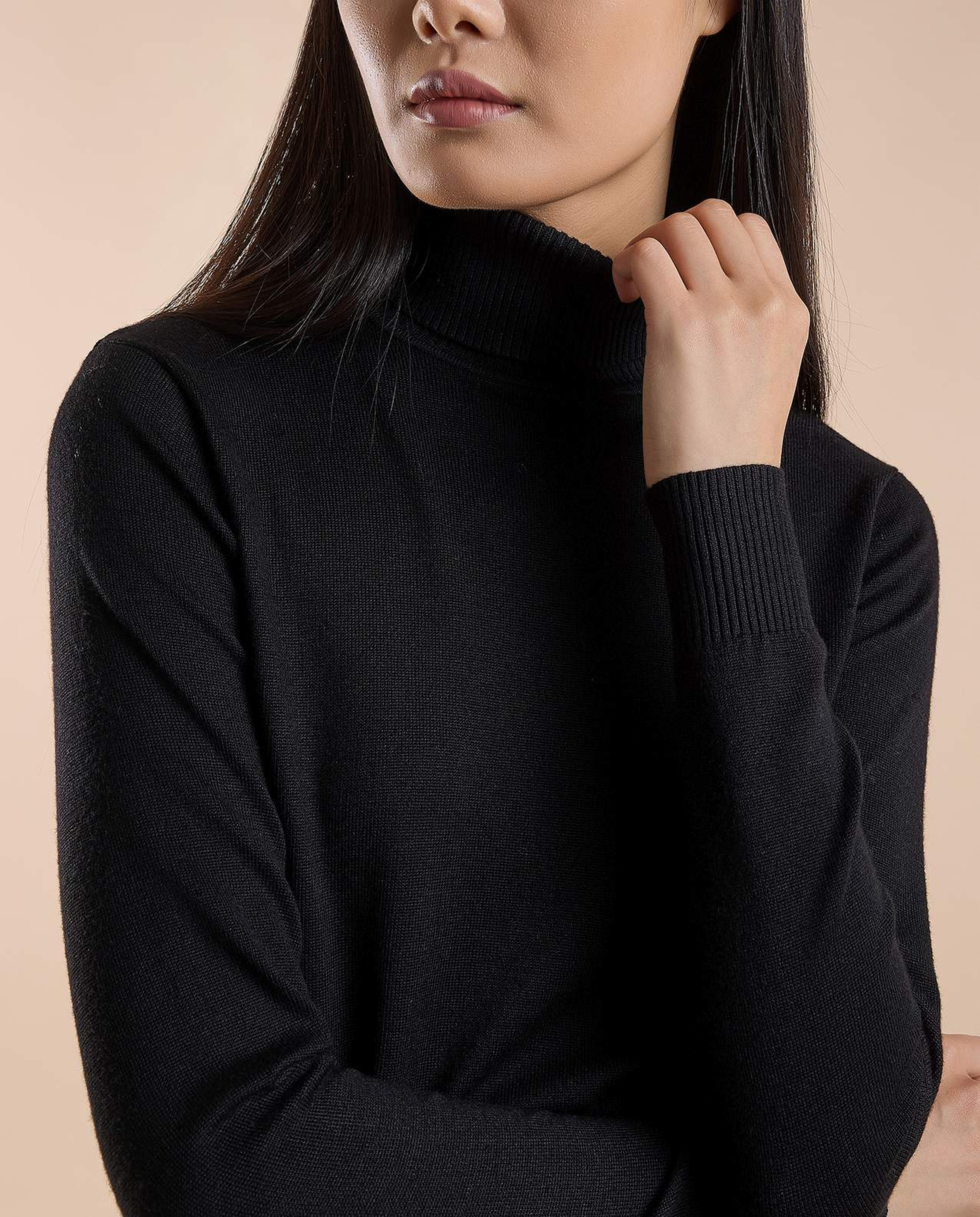 Solid Sweater with Turtleneck and Long Sleeves