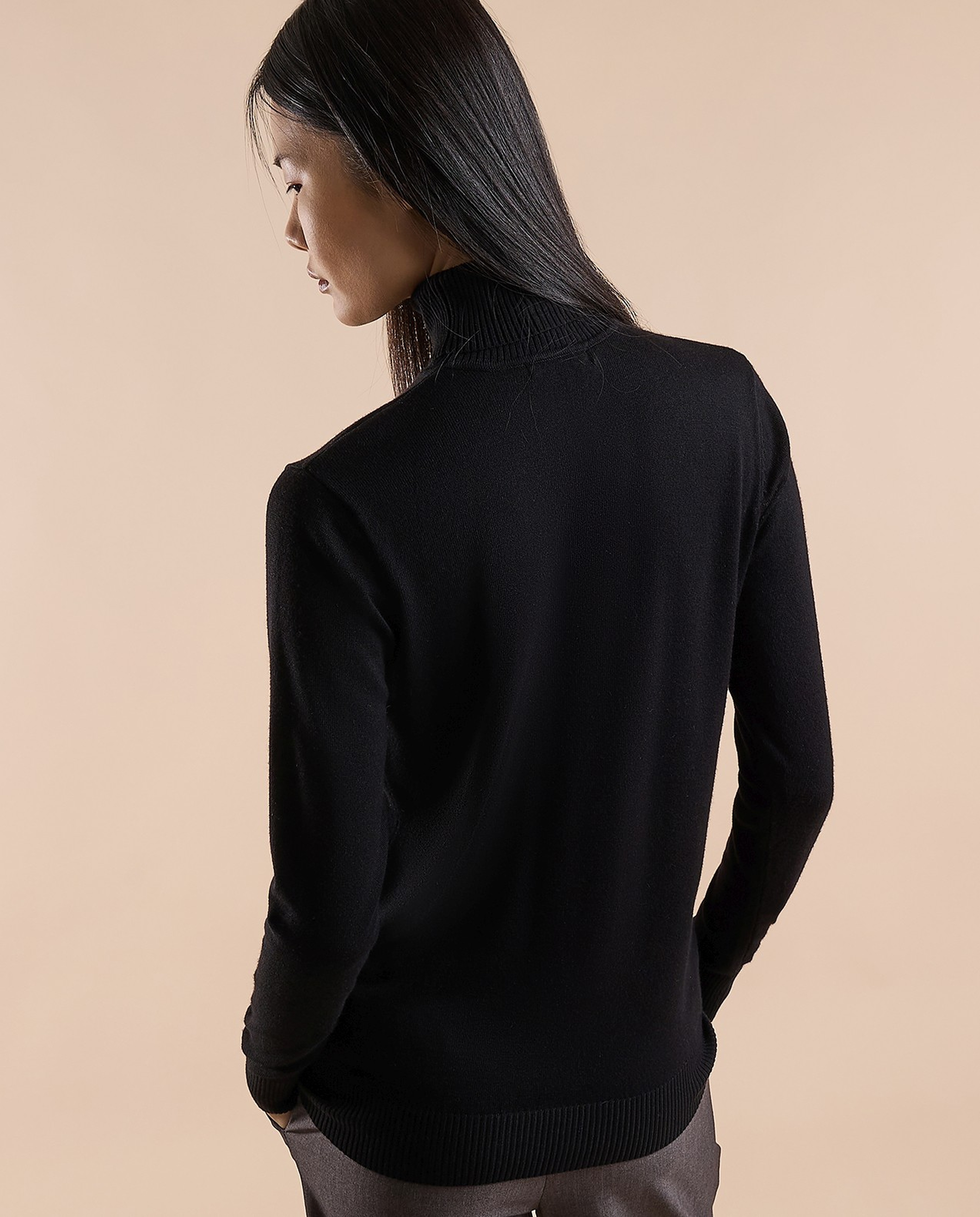 Solid Sweater with Turtleneck and Long Sleeves