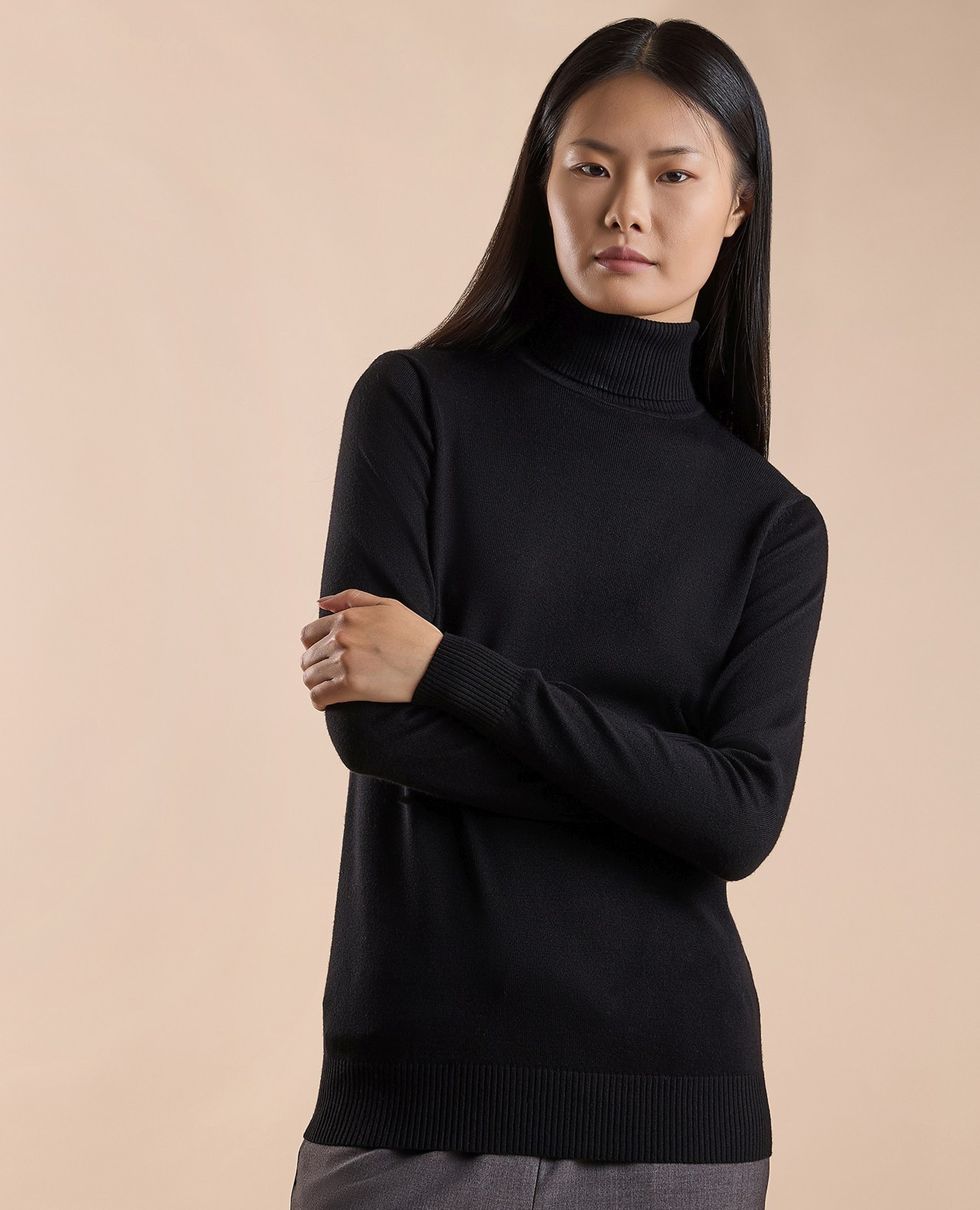Solid Sweater with Turtleneck and Long Sleeves
