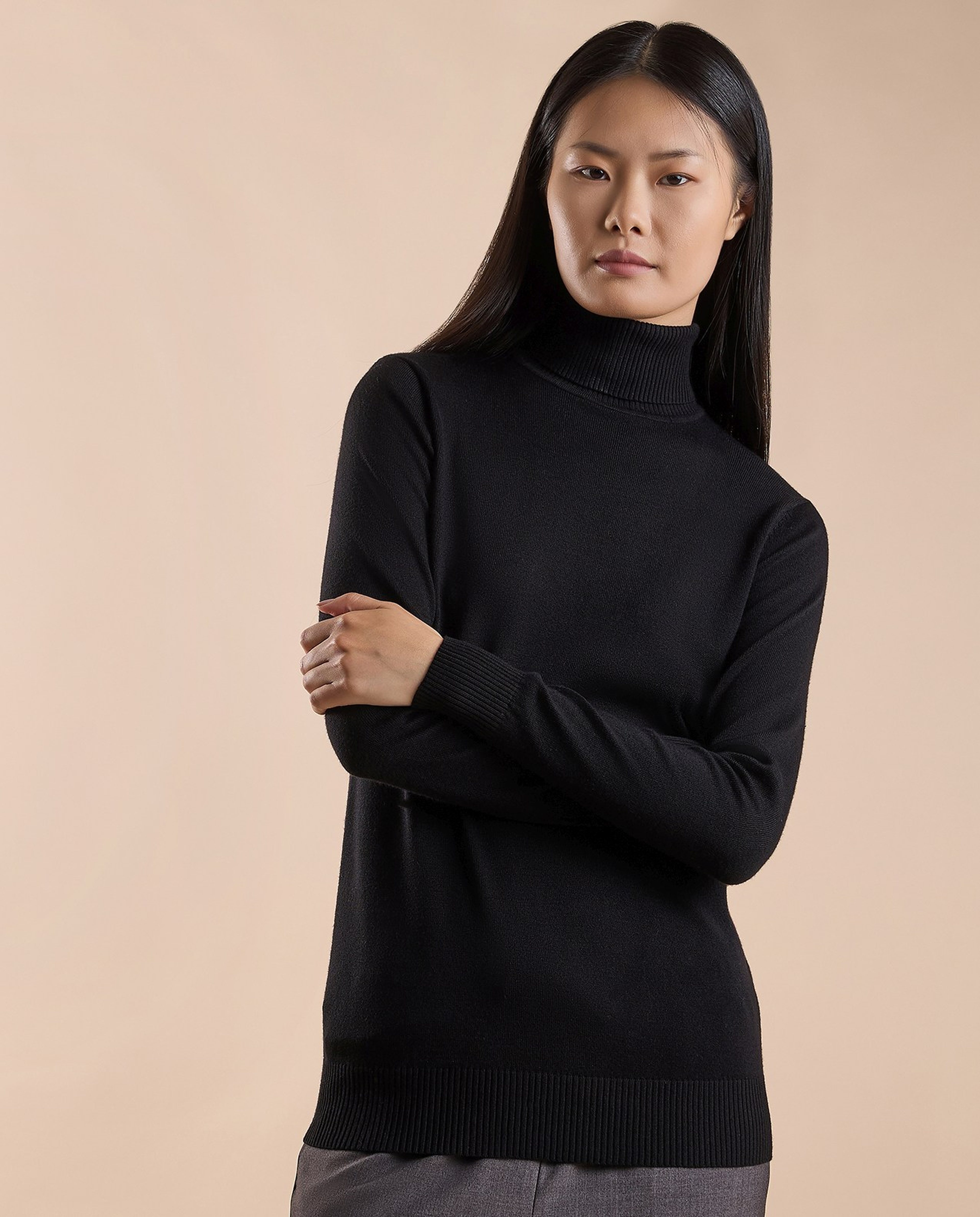 Solid Sweater with Turtleneck and Long Sleeves