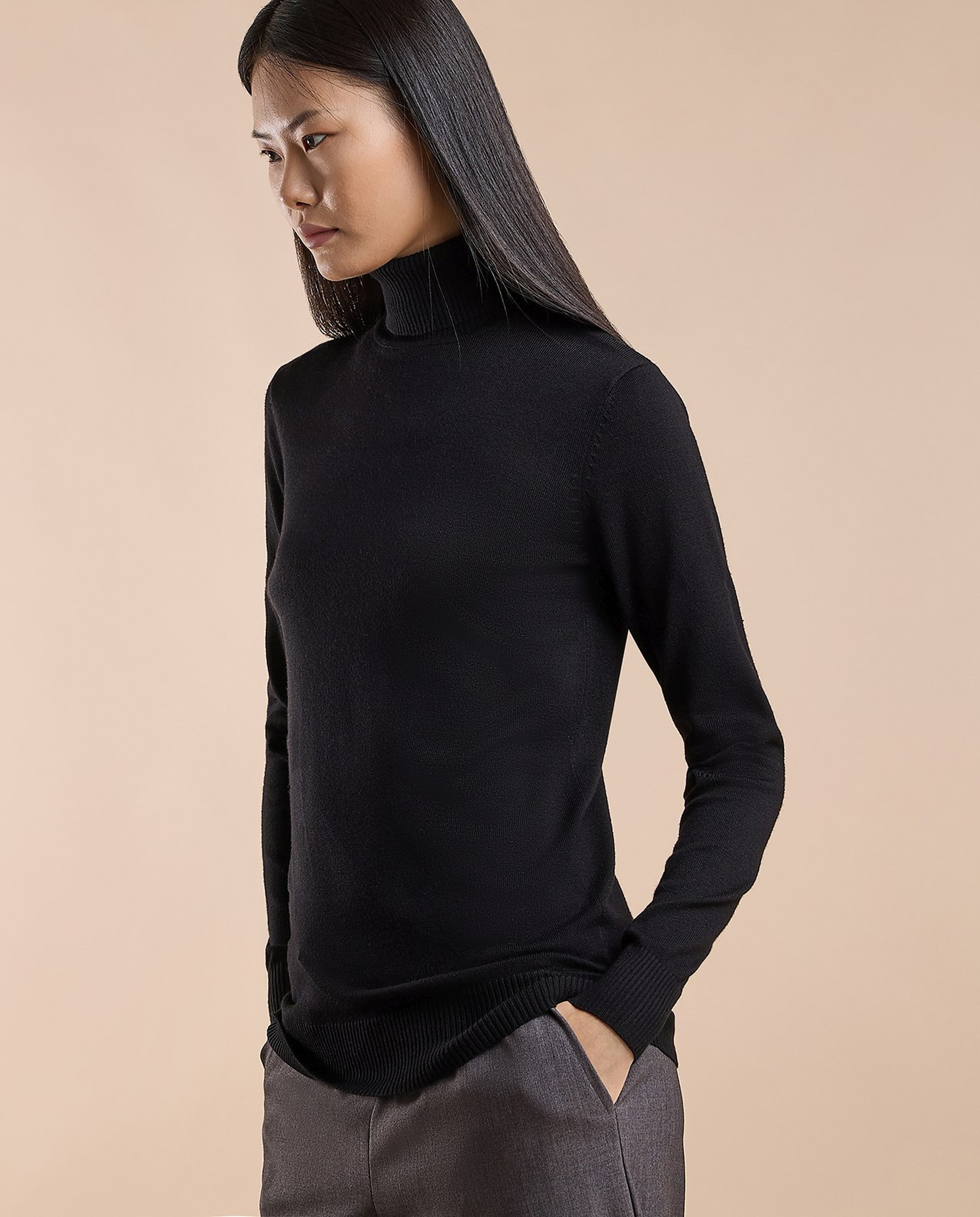 Solid Sweater with Turtleneck and Long Sleeves