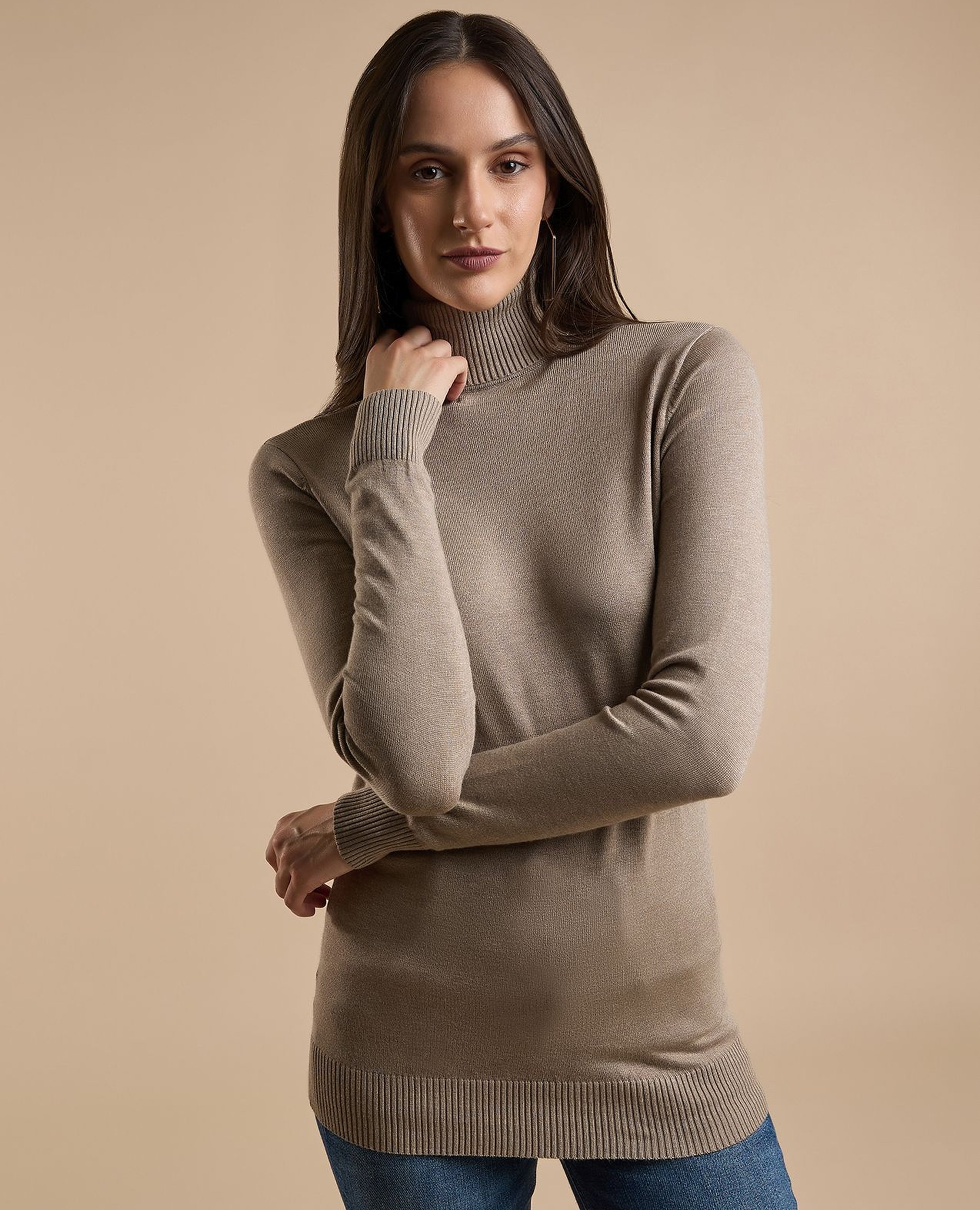 Solid Sweater with Turtleneck and Long Sleeves