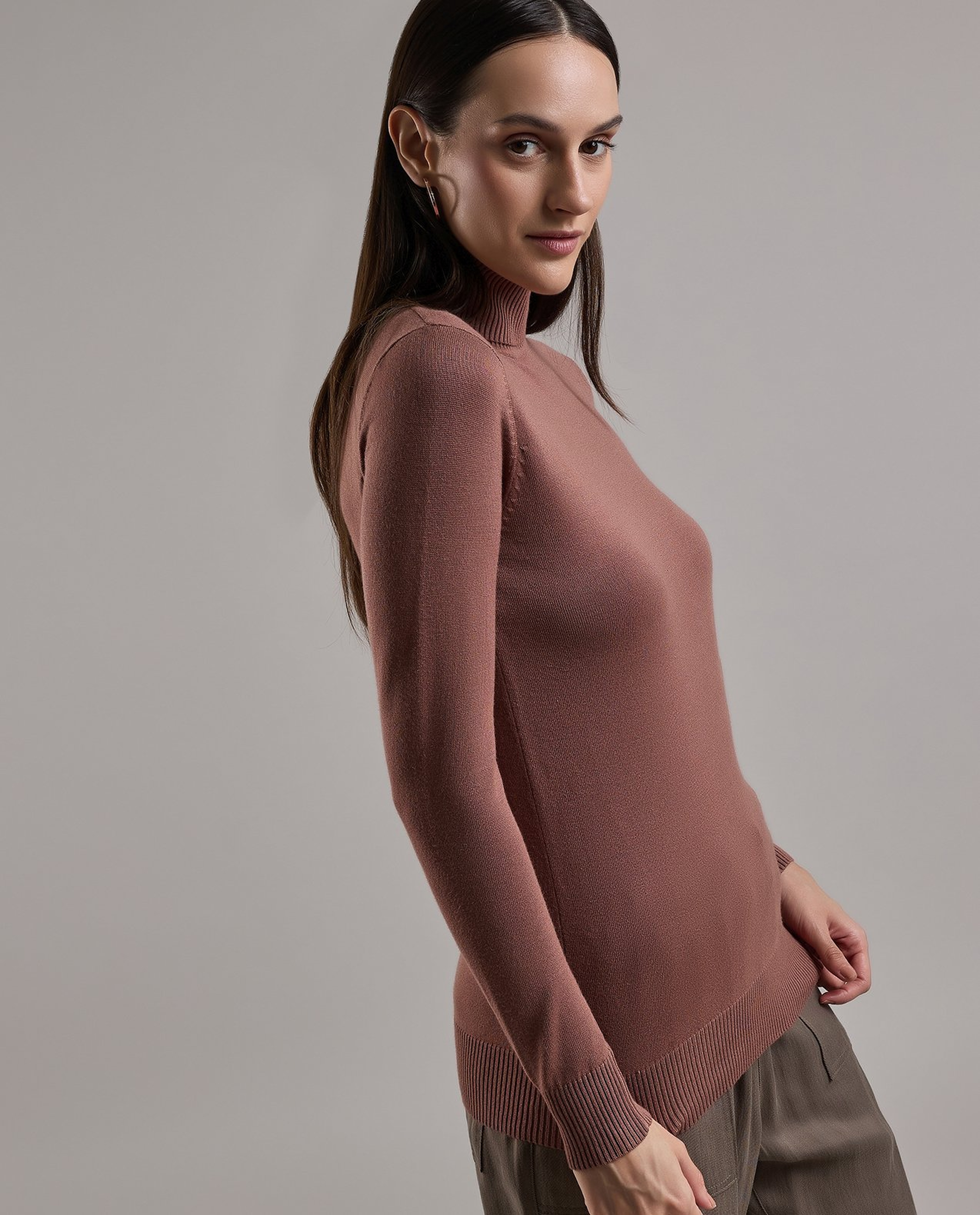 Solid Sweater with Turtleneck and Long Sleeves