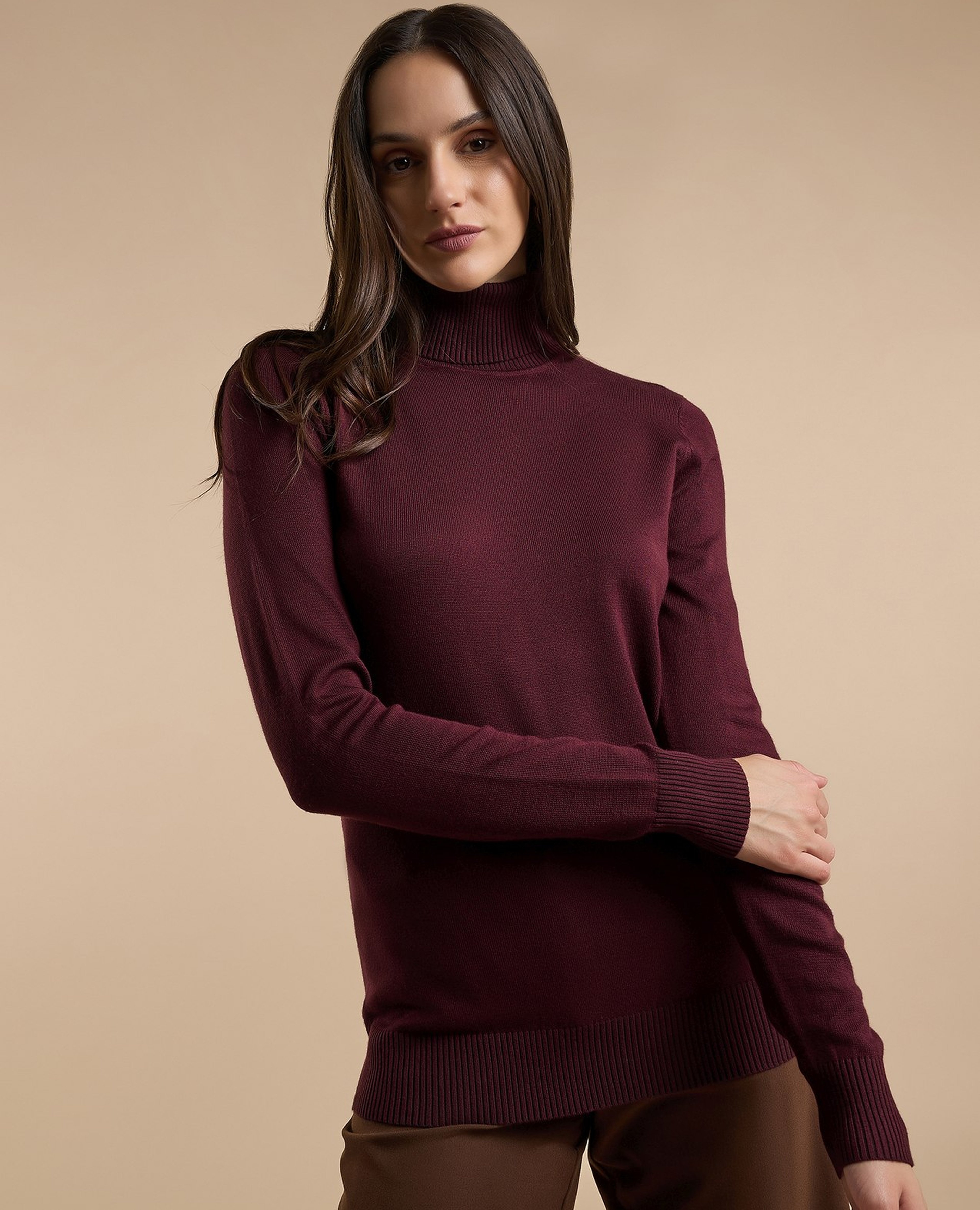 Solid Sweater with Turtleneck and Long Sleeves
