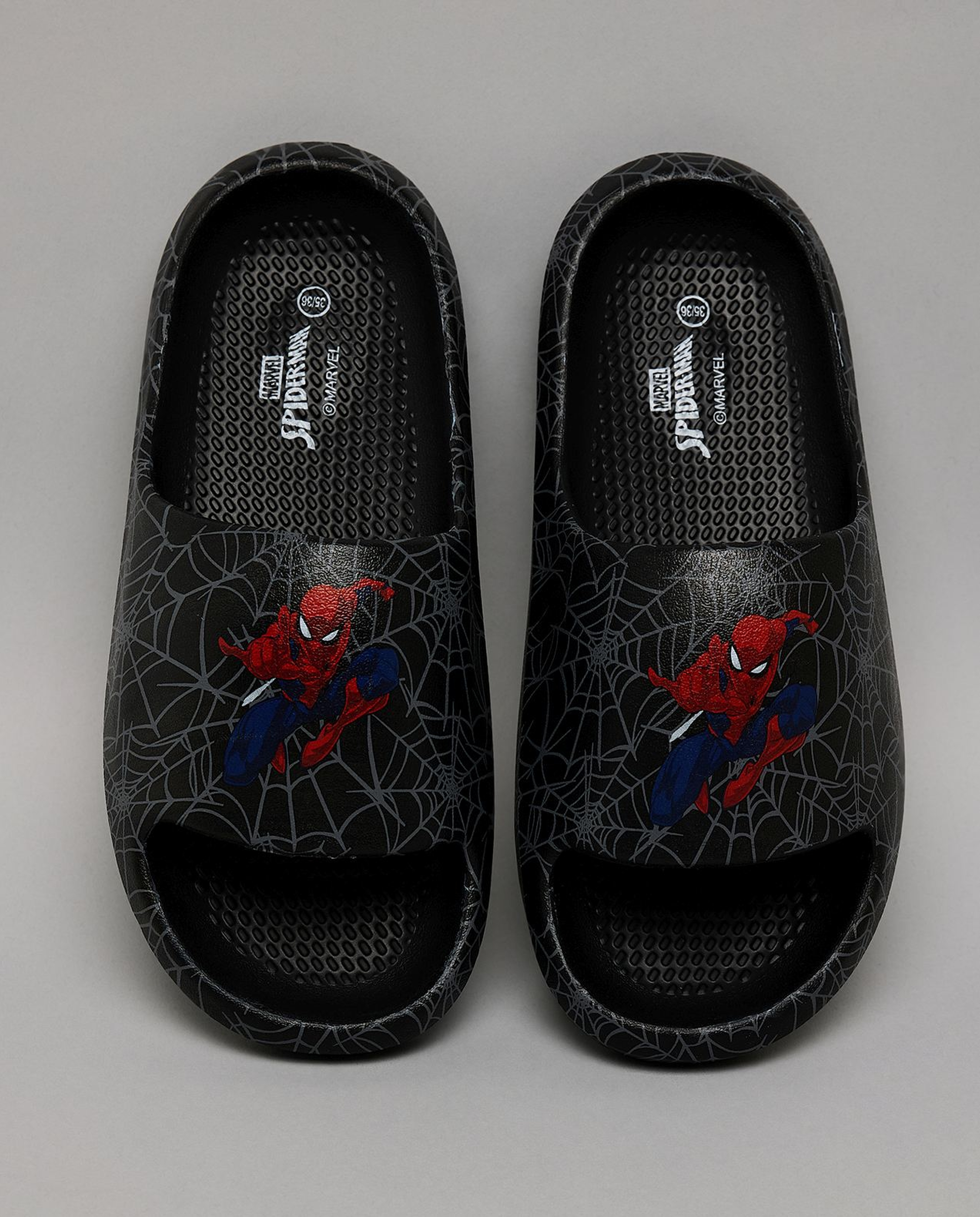 Spiderman Printed Slides