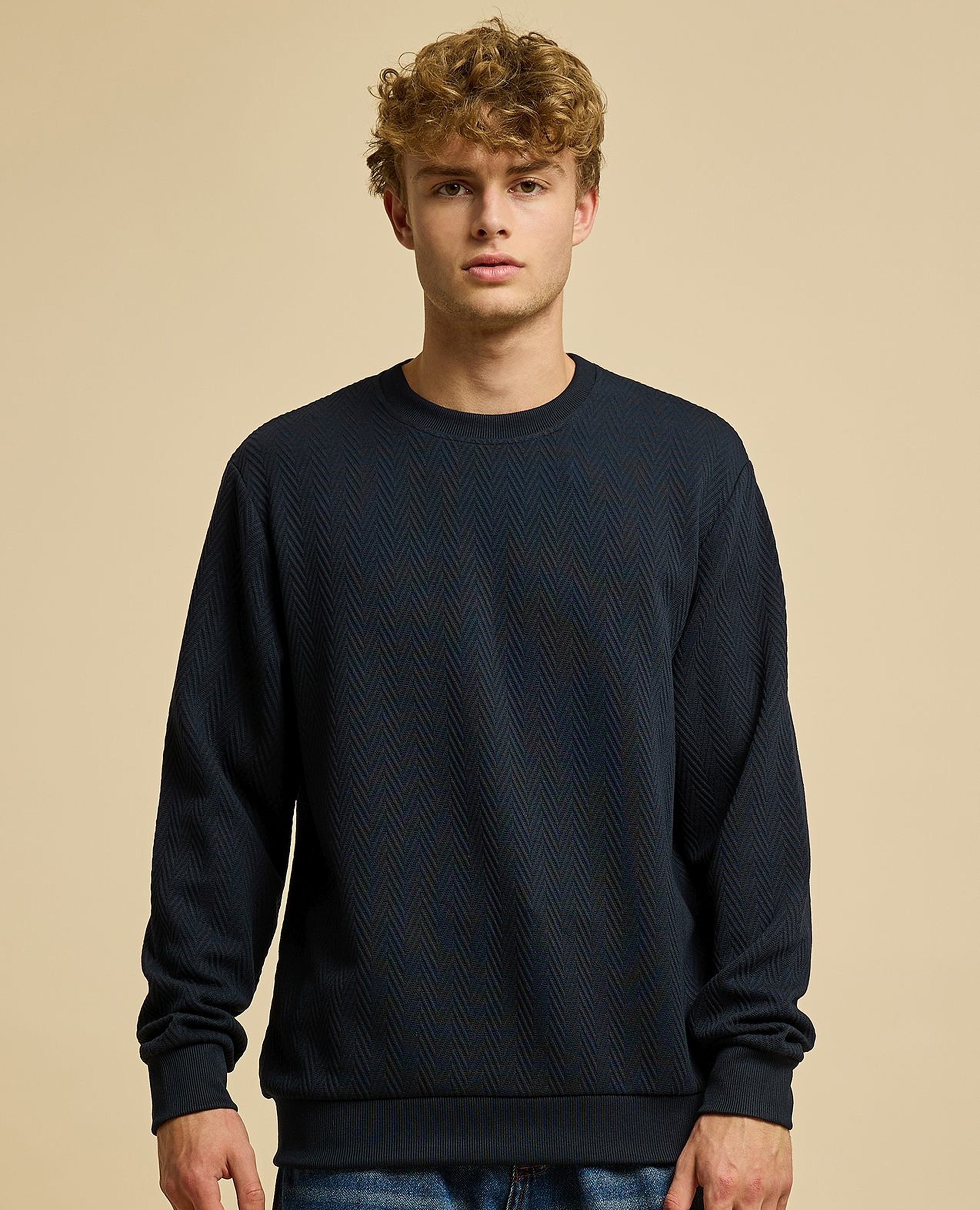 Textured Sweatshirt with Crew Neck and Long Sleeves