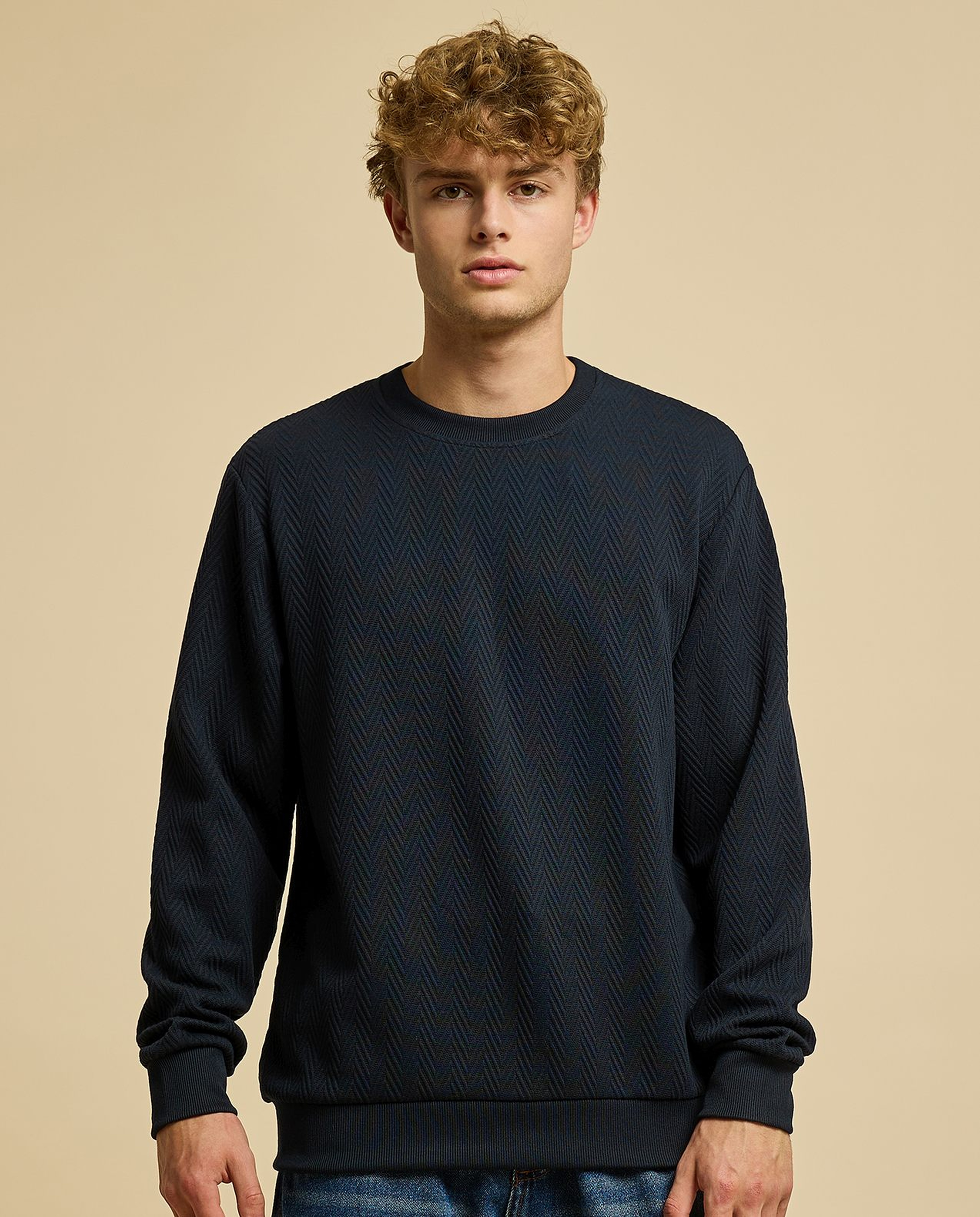 Textured Sweatshirt with Crew Neck and Long Sleeves