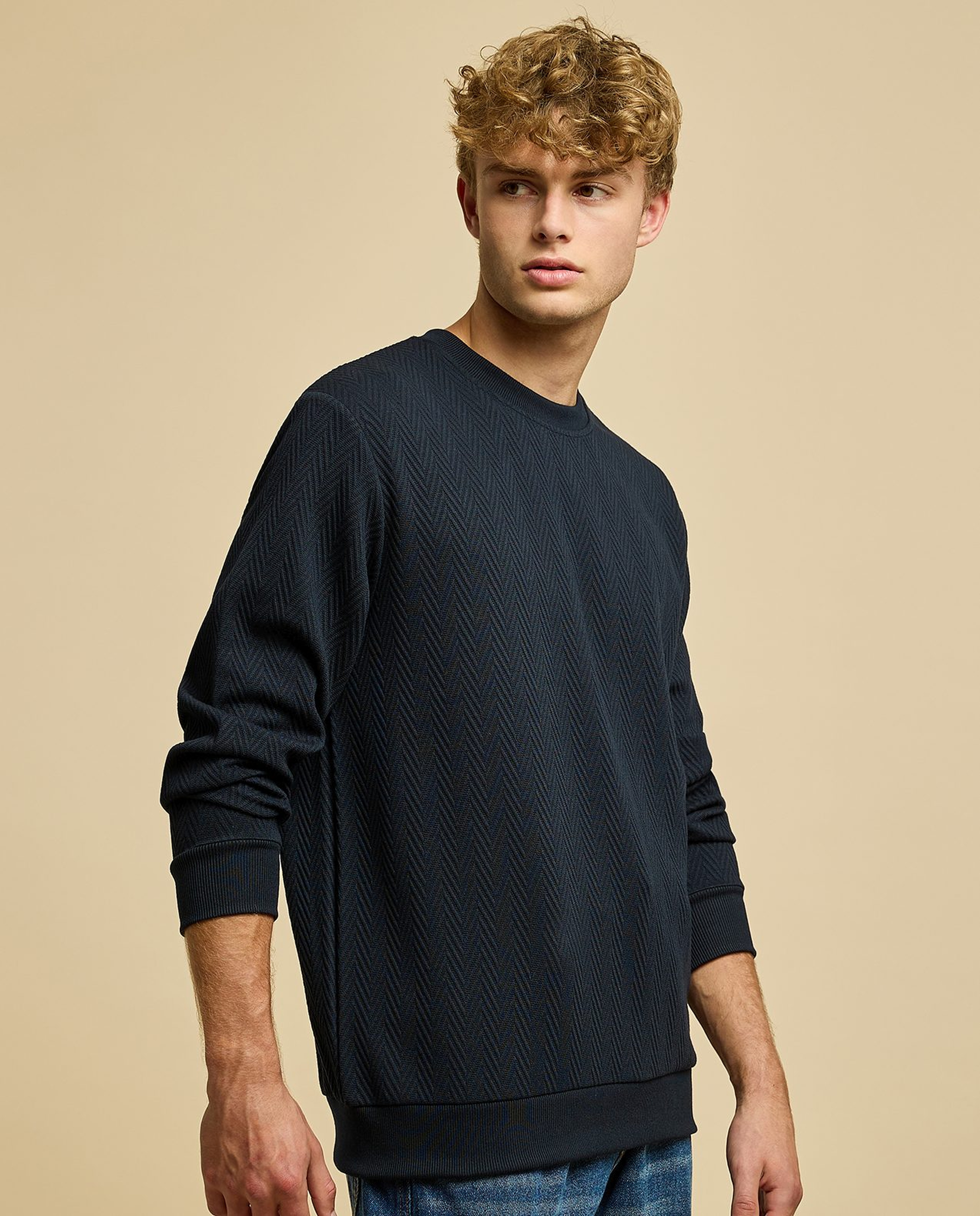 Textured Sweatshirt with Crew Neck and Long Sleeves